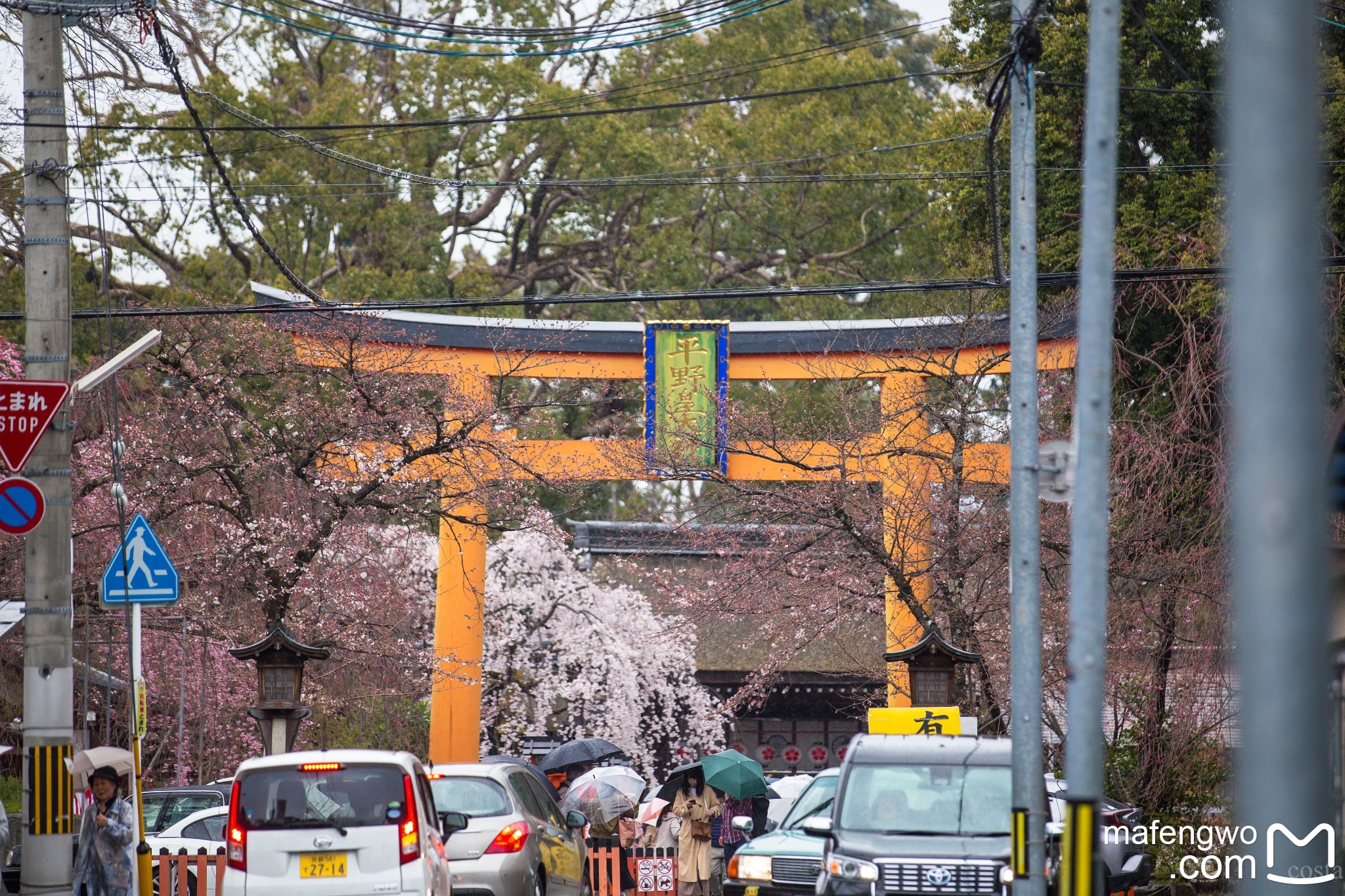 札幌自助遊攻略