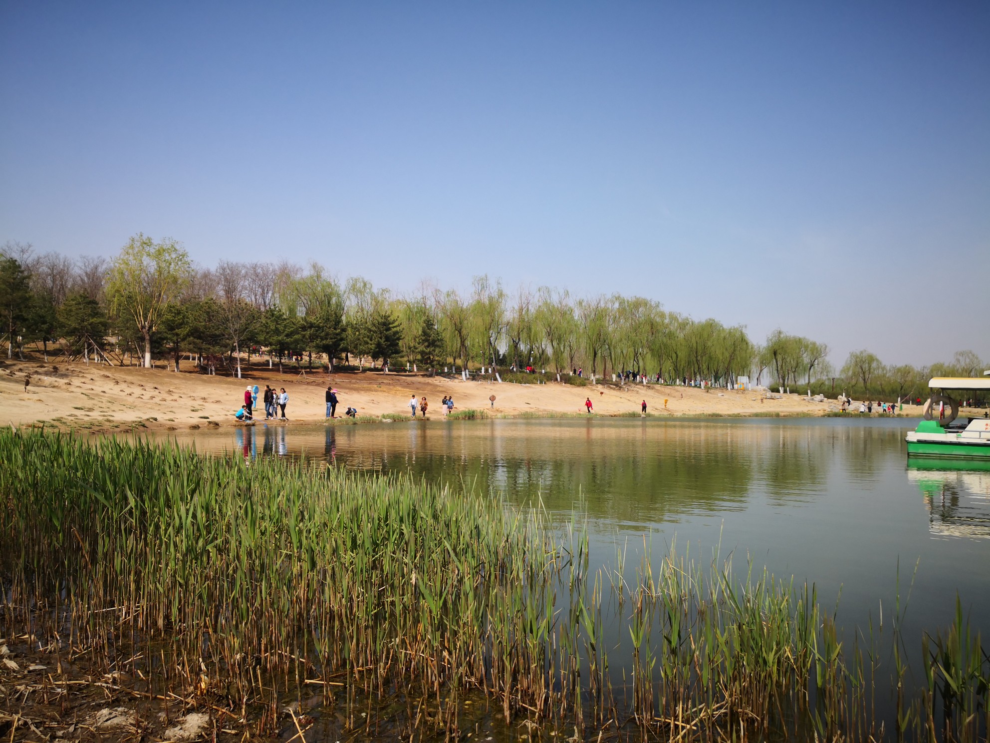 清明踏青京南南海子溼地公園,北京自助遊攻略 - 馬蜂窩