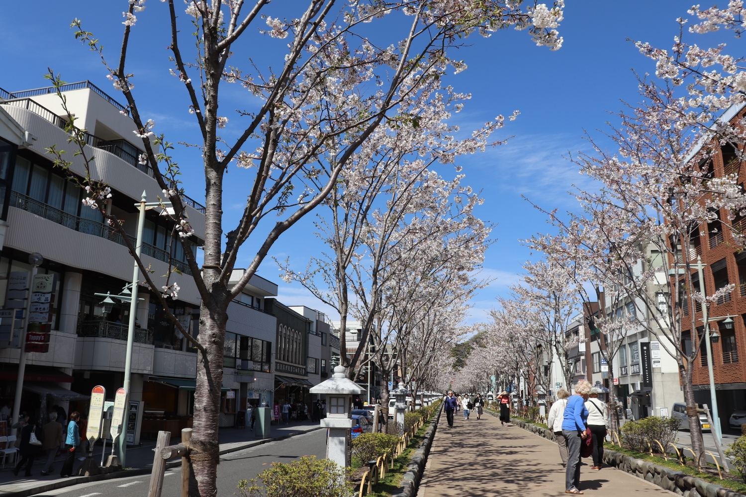 東京自助遊攻略