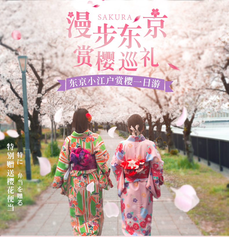 漫步东京 穿越小江户 川越赏樱巡礼一日游 赠送樱花便当 川越小江户赏樱 菓子屋横丁 网红神社 冰川神社 熊谷樱堤 马蜂窝自由行