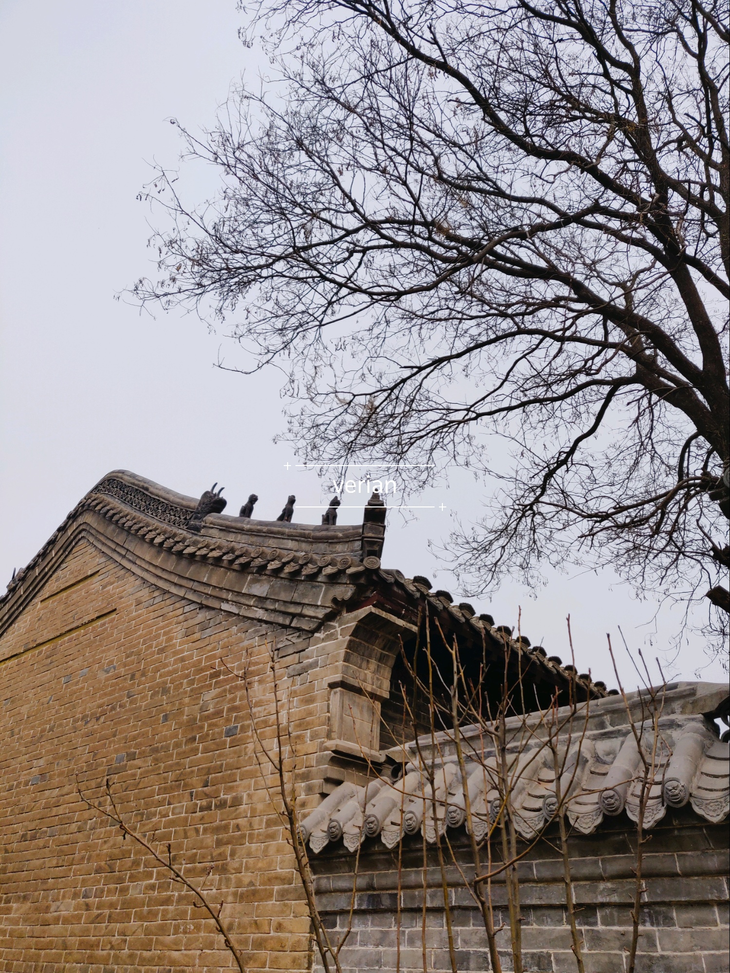 【无棣景点图片】无棣大觉寺