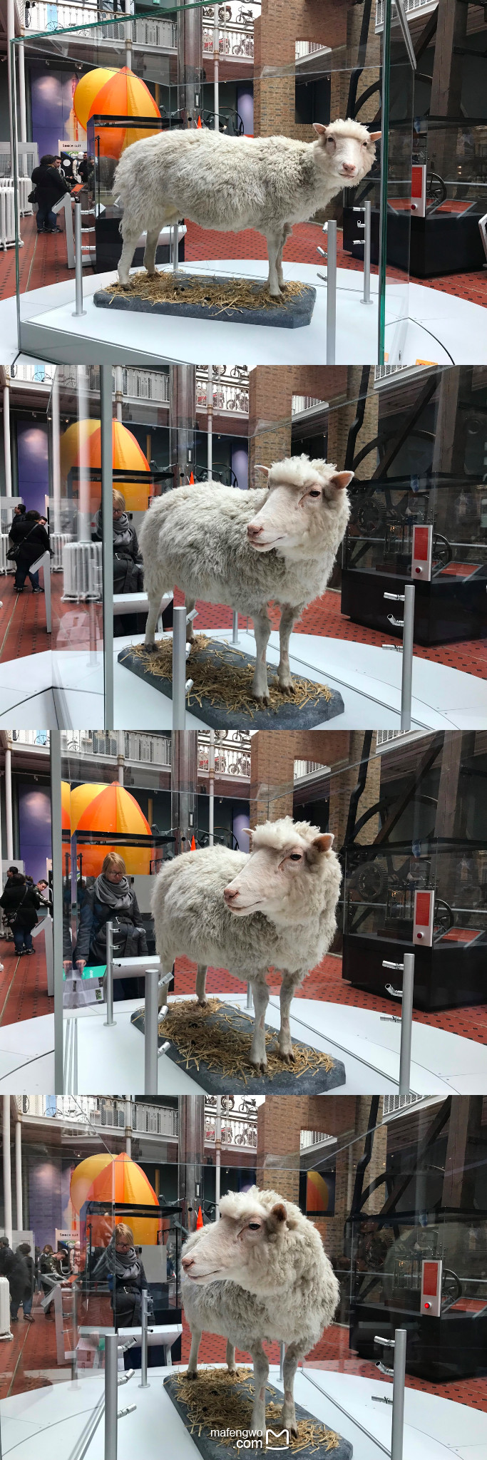 英国二刷14天 西游记4人成团出道 热门取景地 英伦都市 致敬beatles