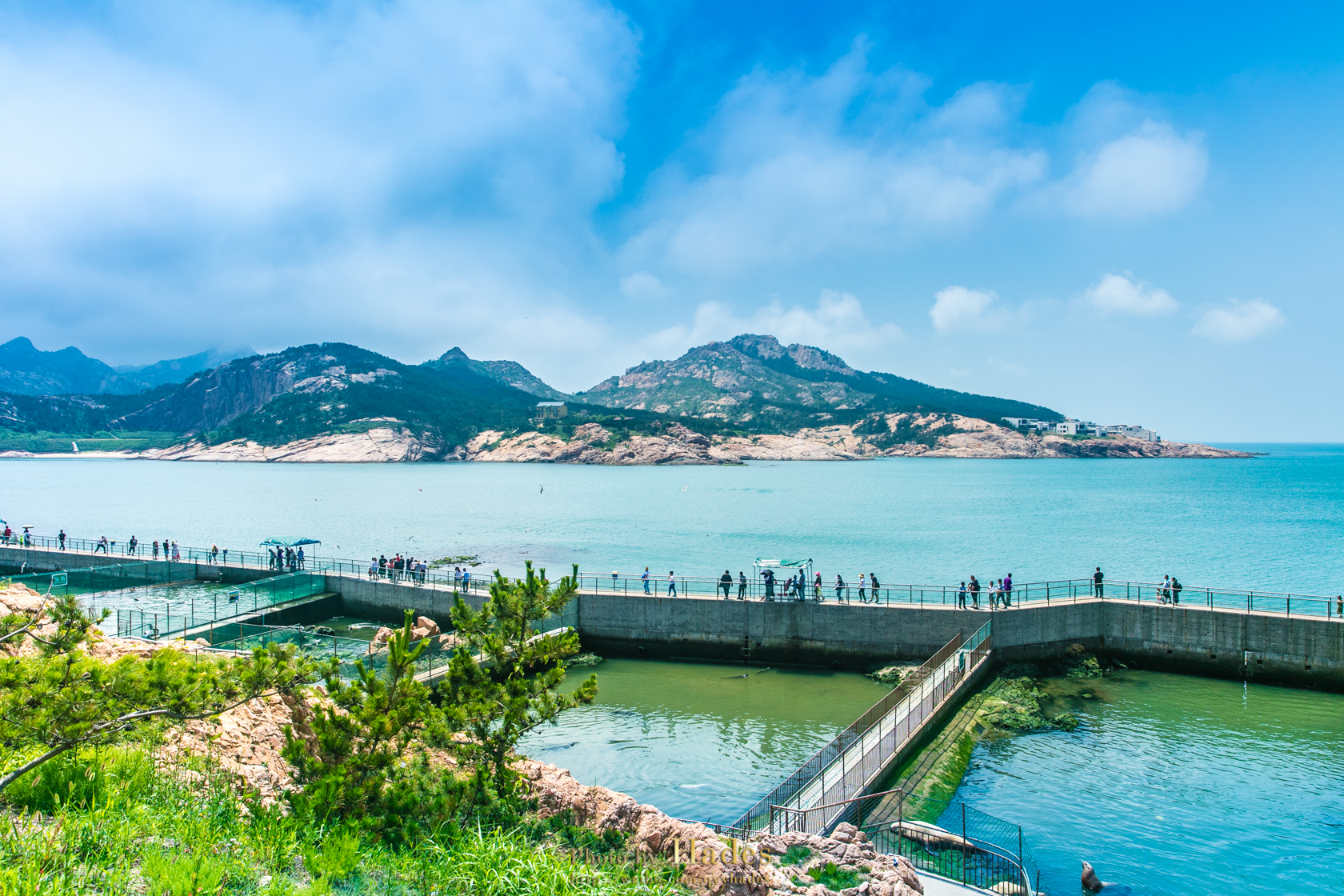 假日遊威海 神鵰山—成山頭—海驢島 遊遍西霞口