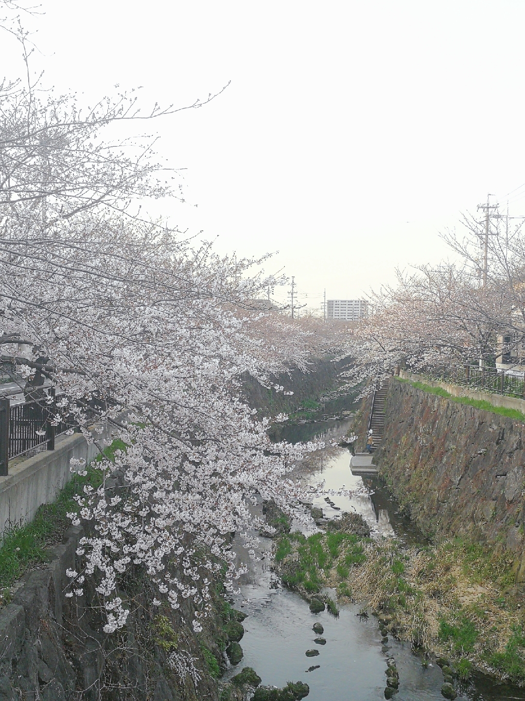 名古屋自助遊攻略