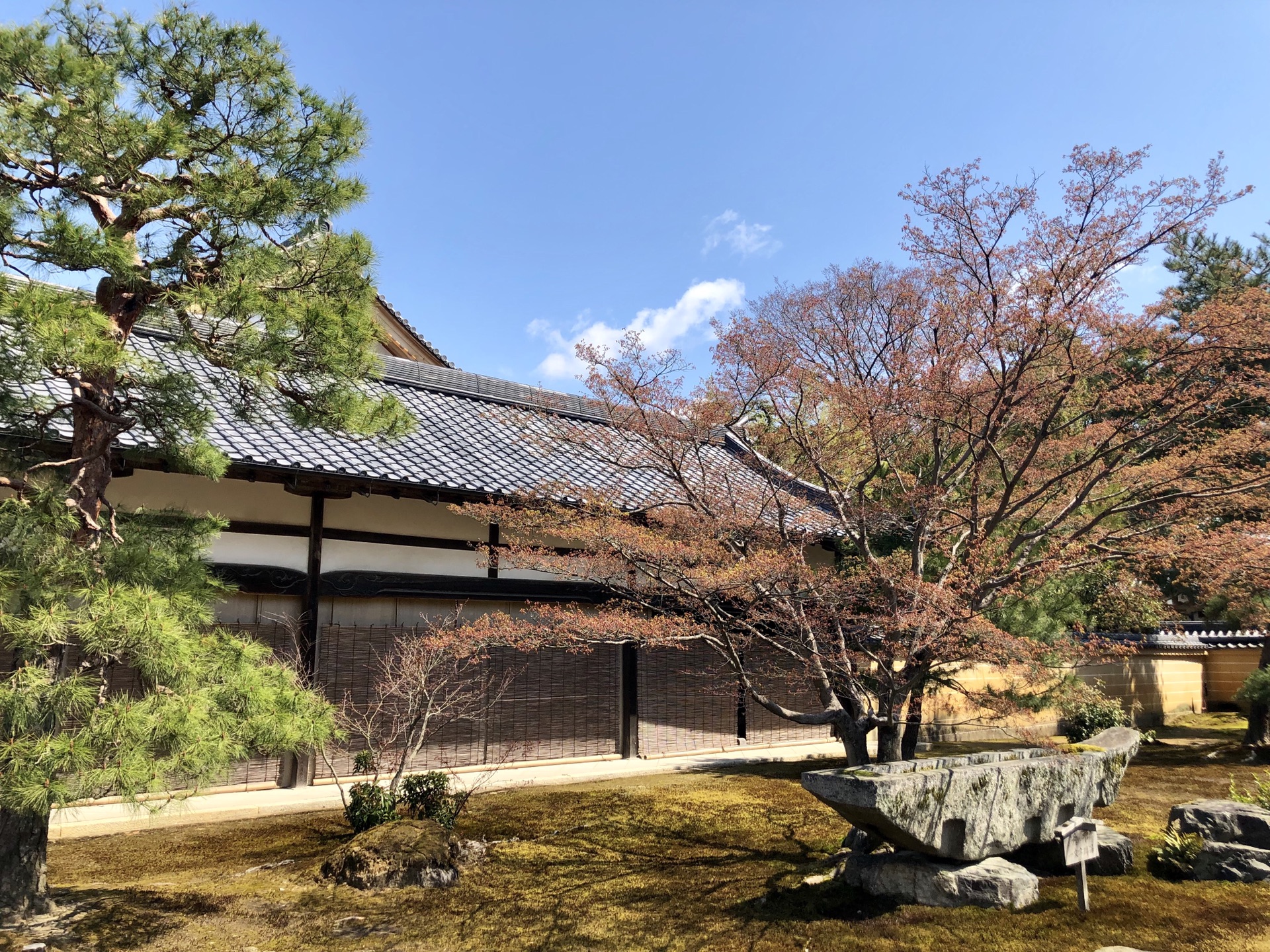 京都自助遊攻略