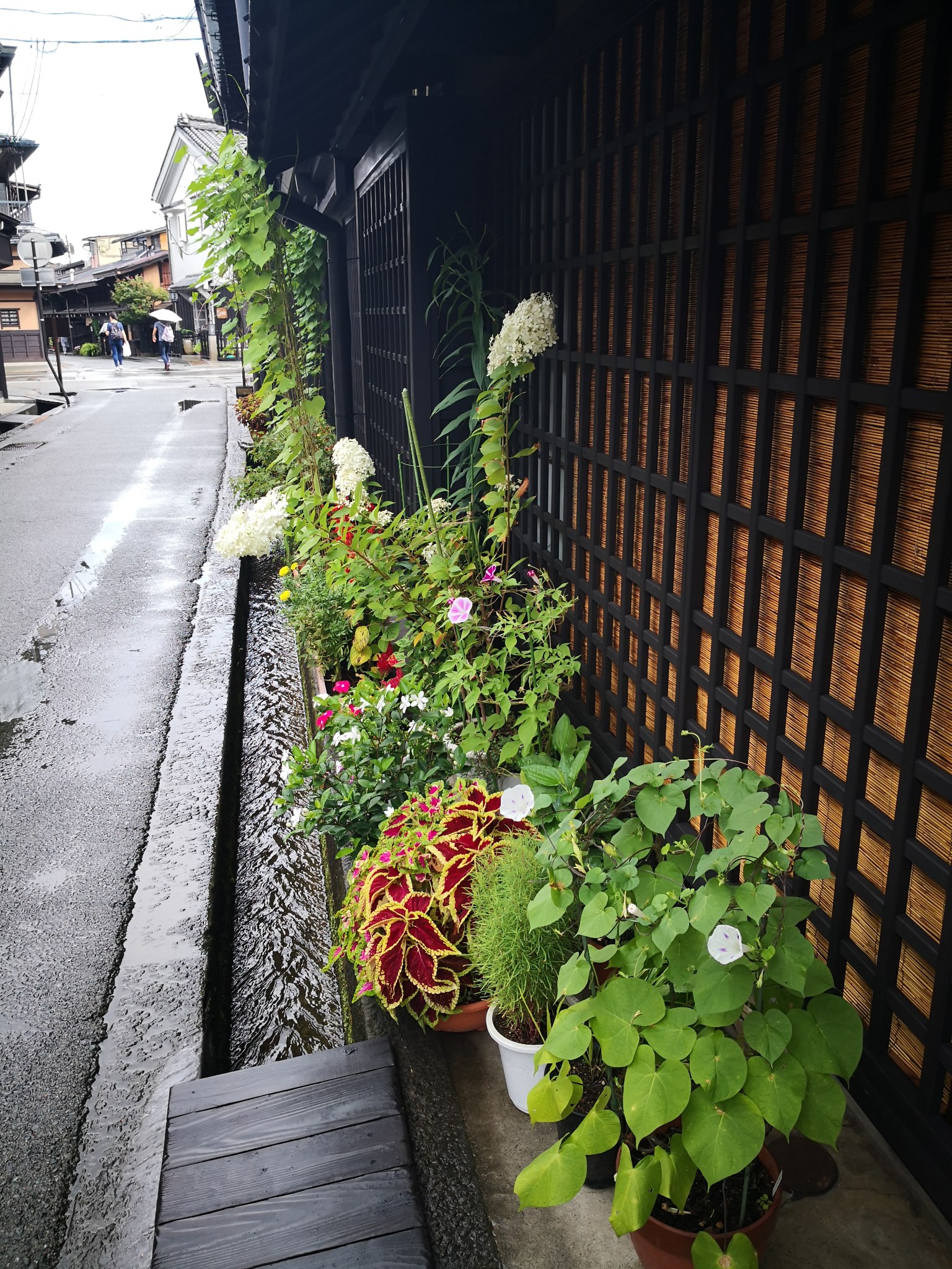 名古屋自助遊攻略