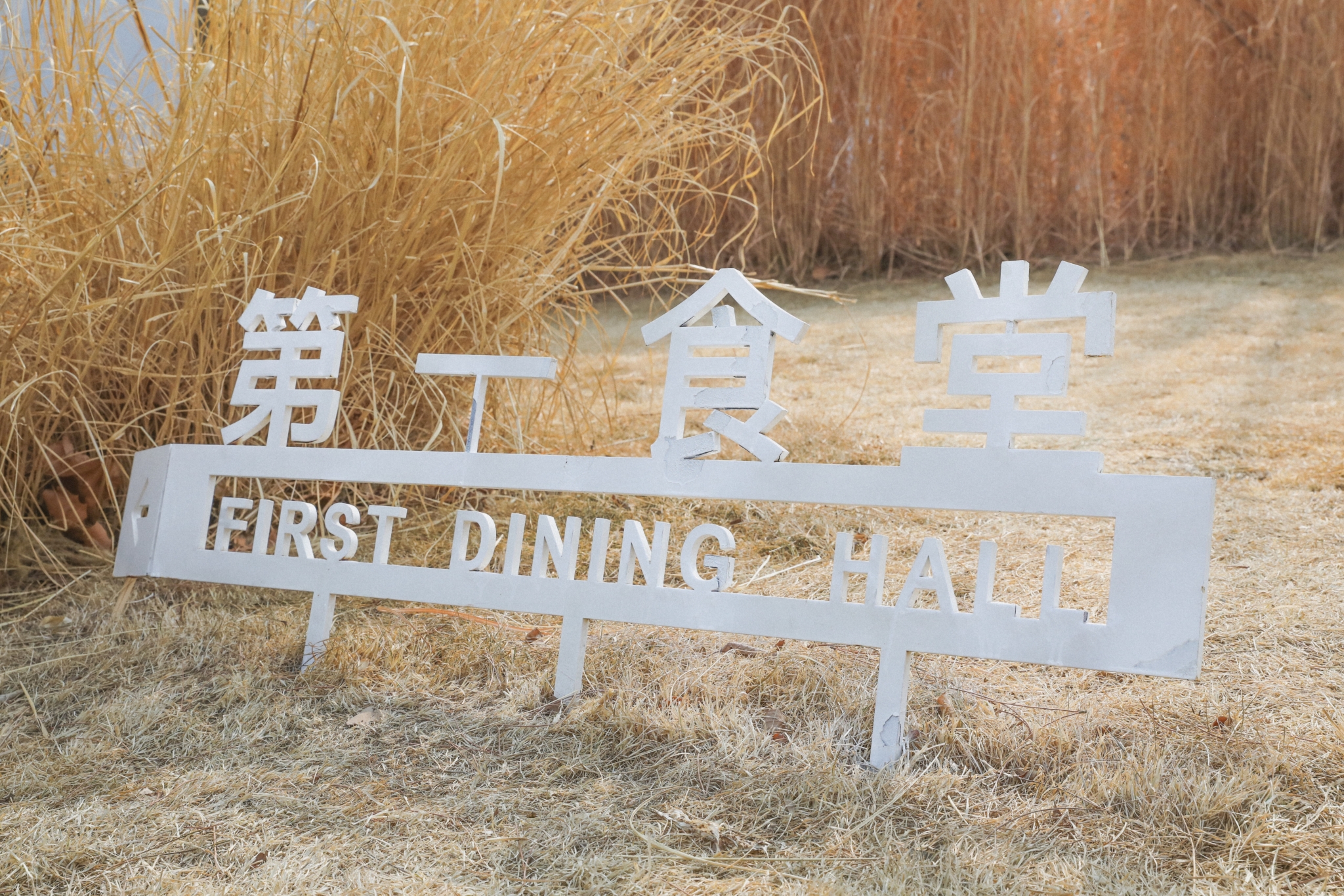 阿那亚一共有三个食堂,还有一些独立的餐厅