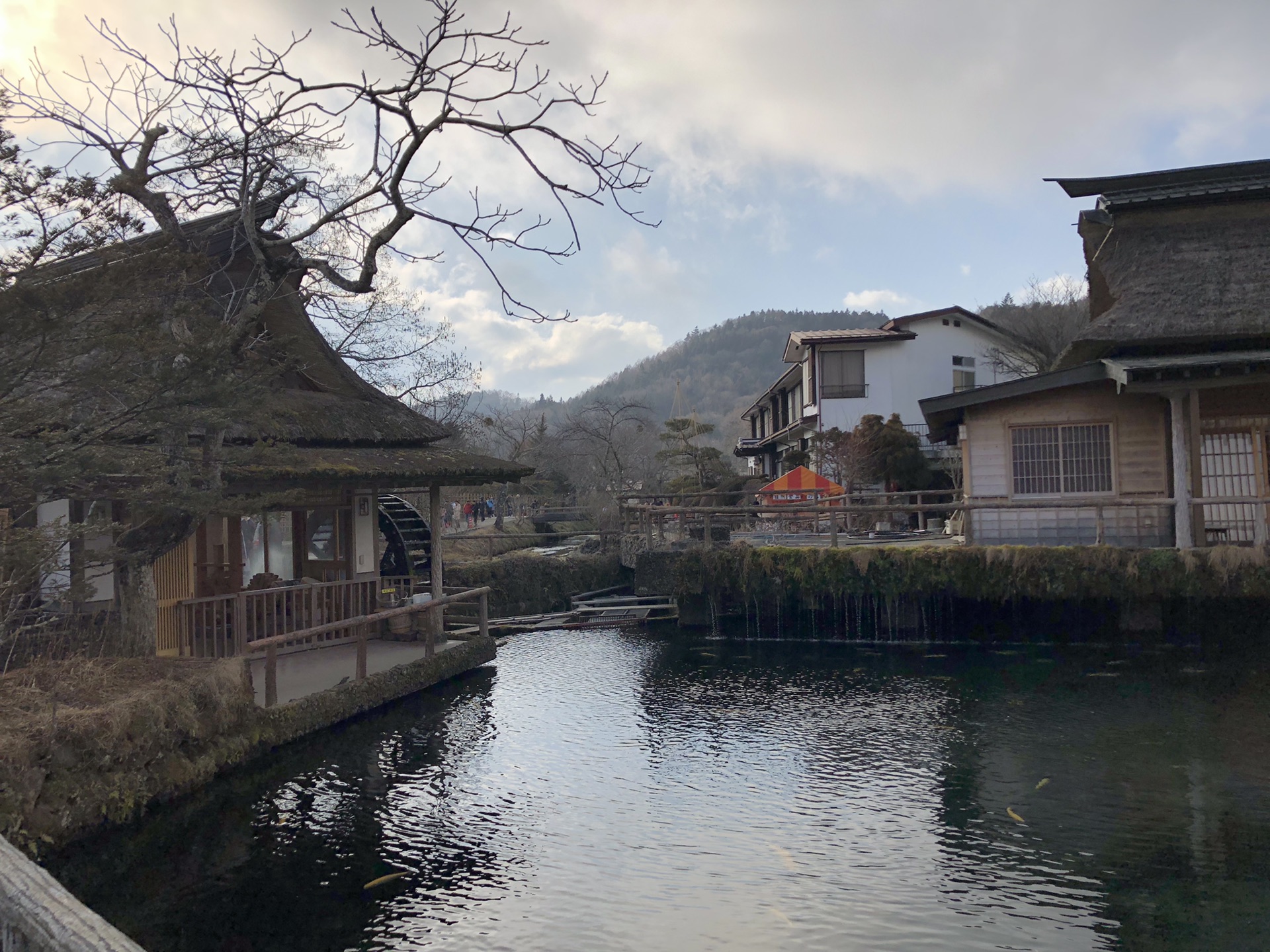 東京自助遊攻略