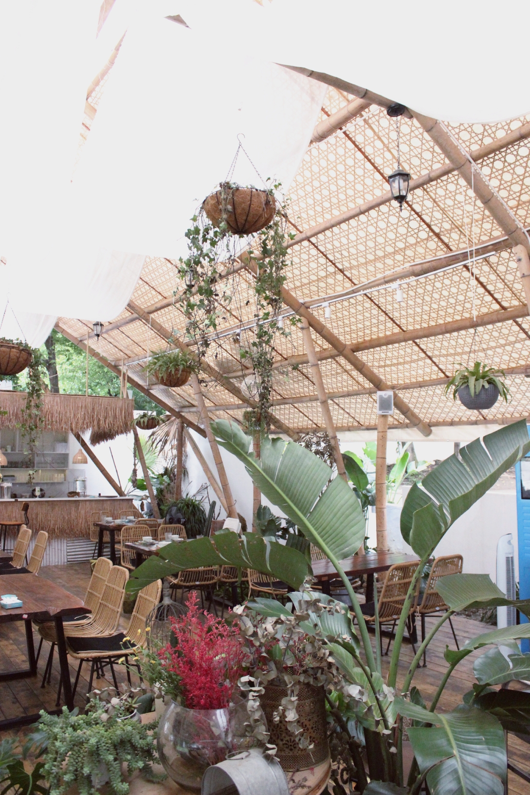 成都新晋网红拍照餐厅——柠檬花园