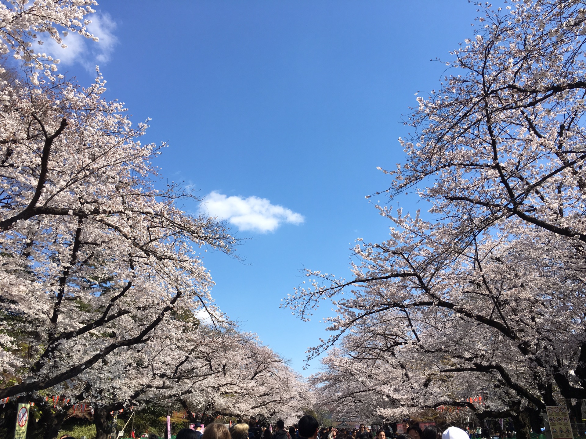 東京自助遊攻略