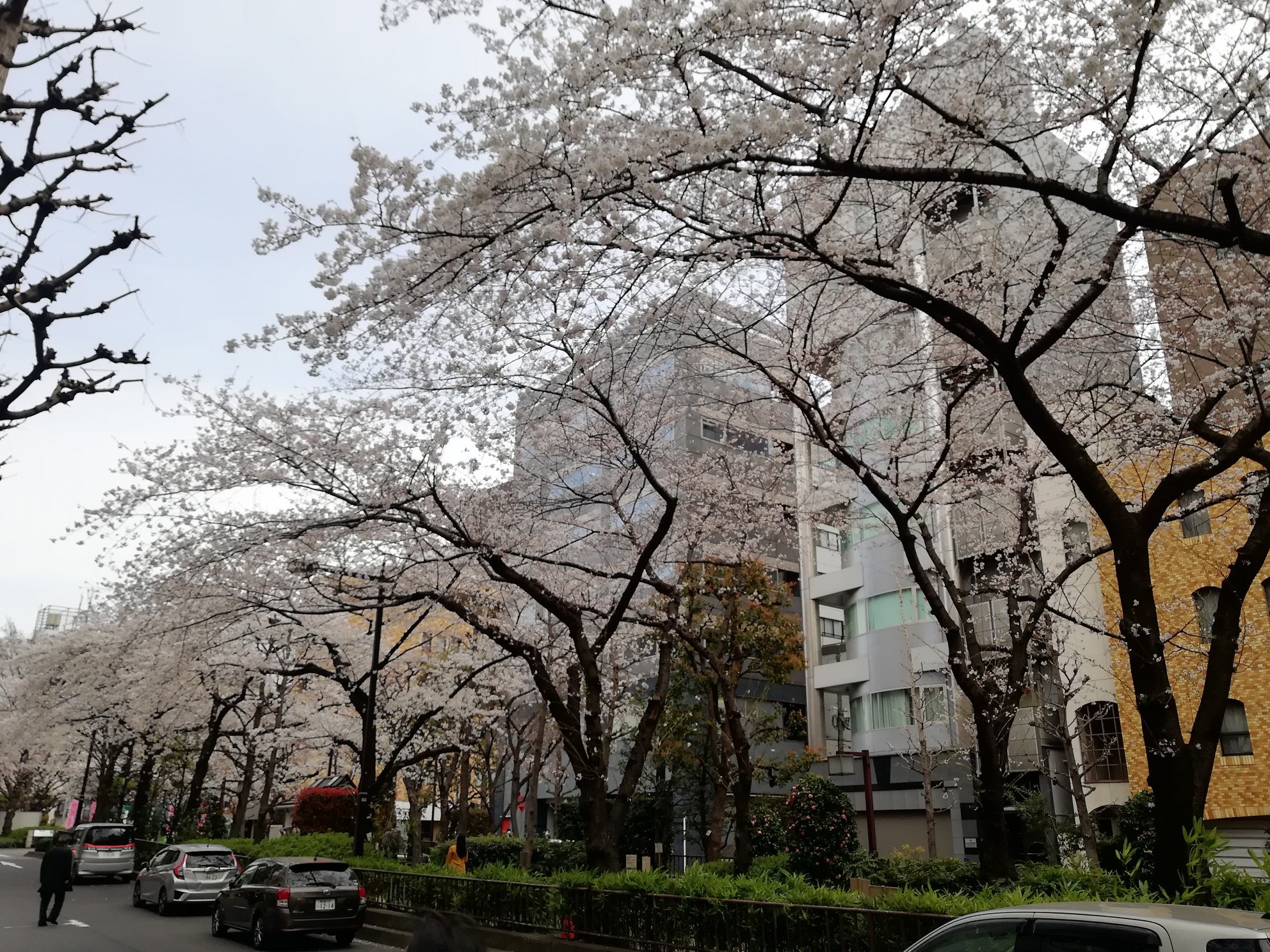 日本桥人形町图片