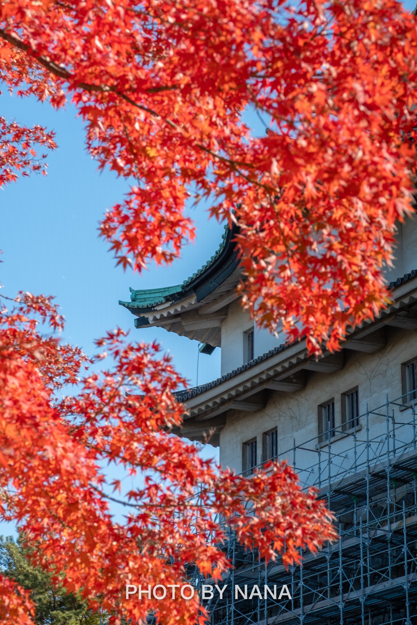 名古屋自助遊攻略