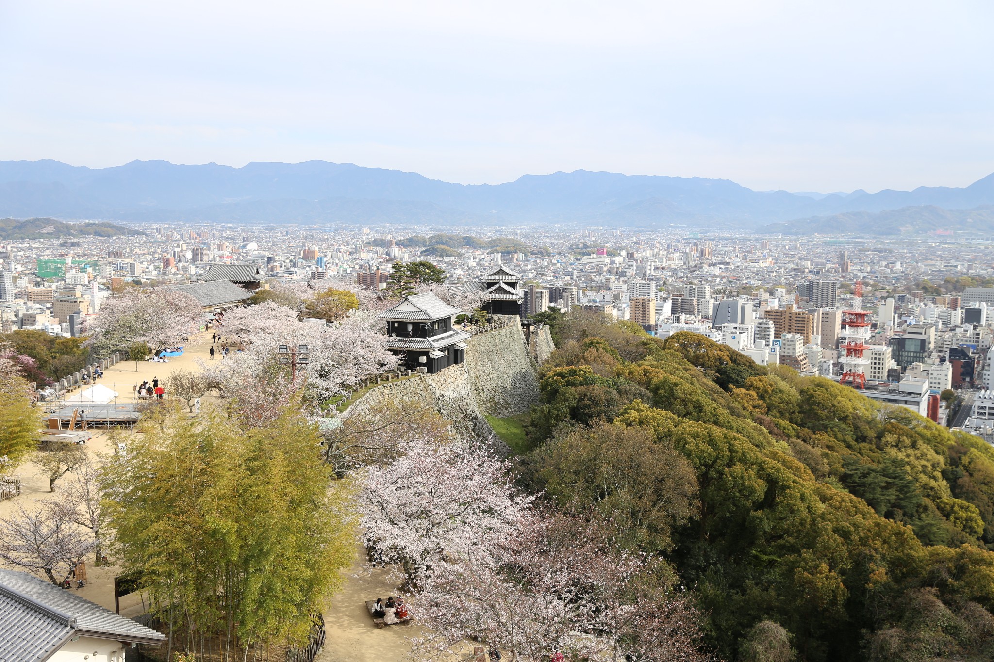 松山市热门游记 松山市自助游游记 松山市旅游热门游记 马蜂窝