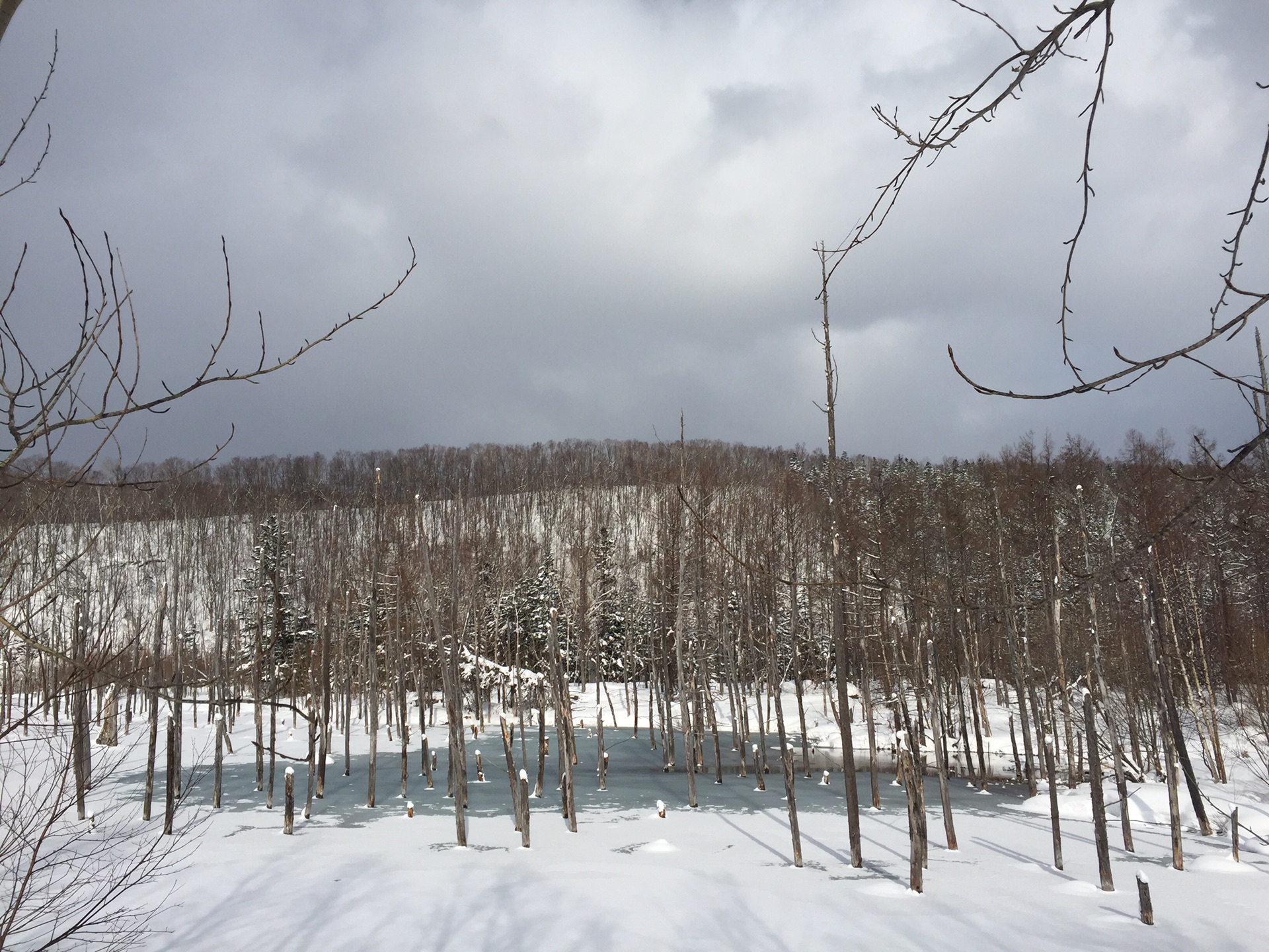 北海道自助遊攻略