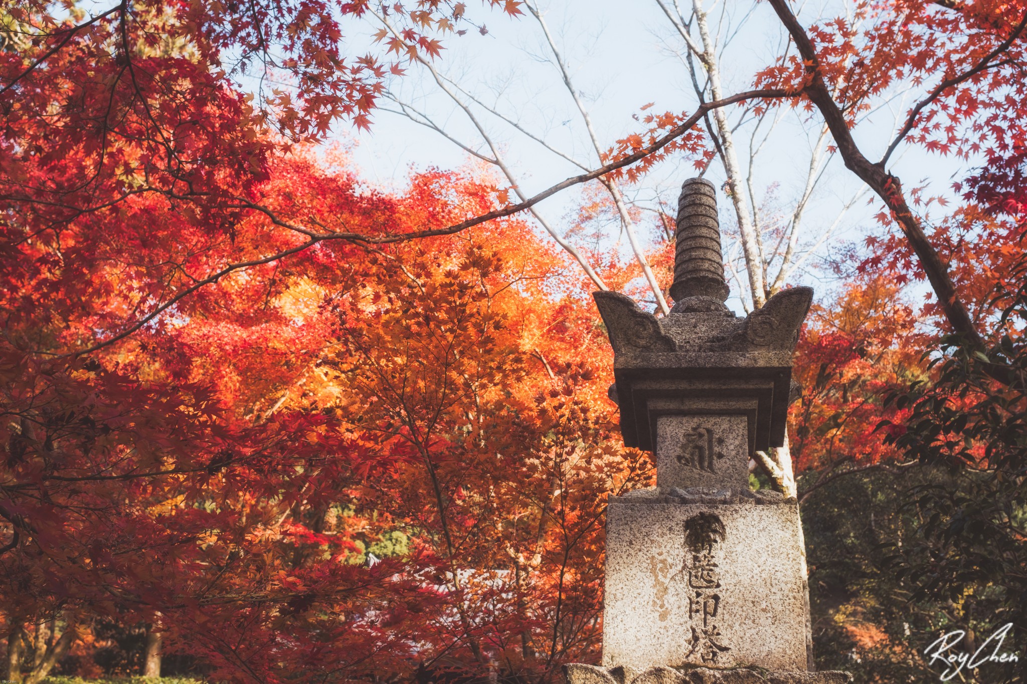 京都自助遊攻略