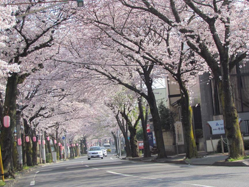 千叶县松户市,充满昭和风情的小城 日本小众旅行