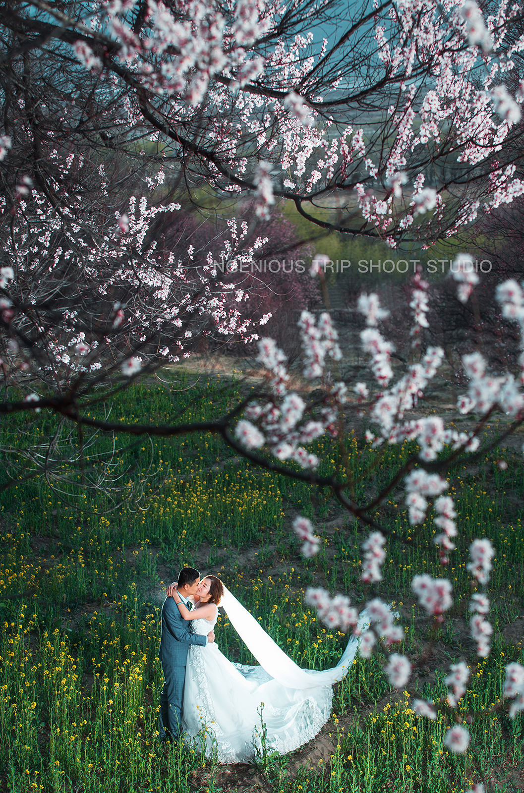 最美西藏婚纱照 | 林芝,人间三月天