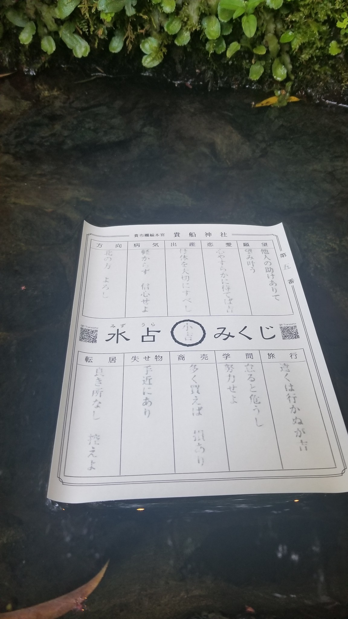 京都自助遊攻略