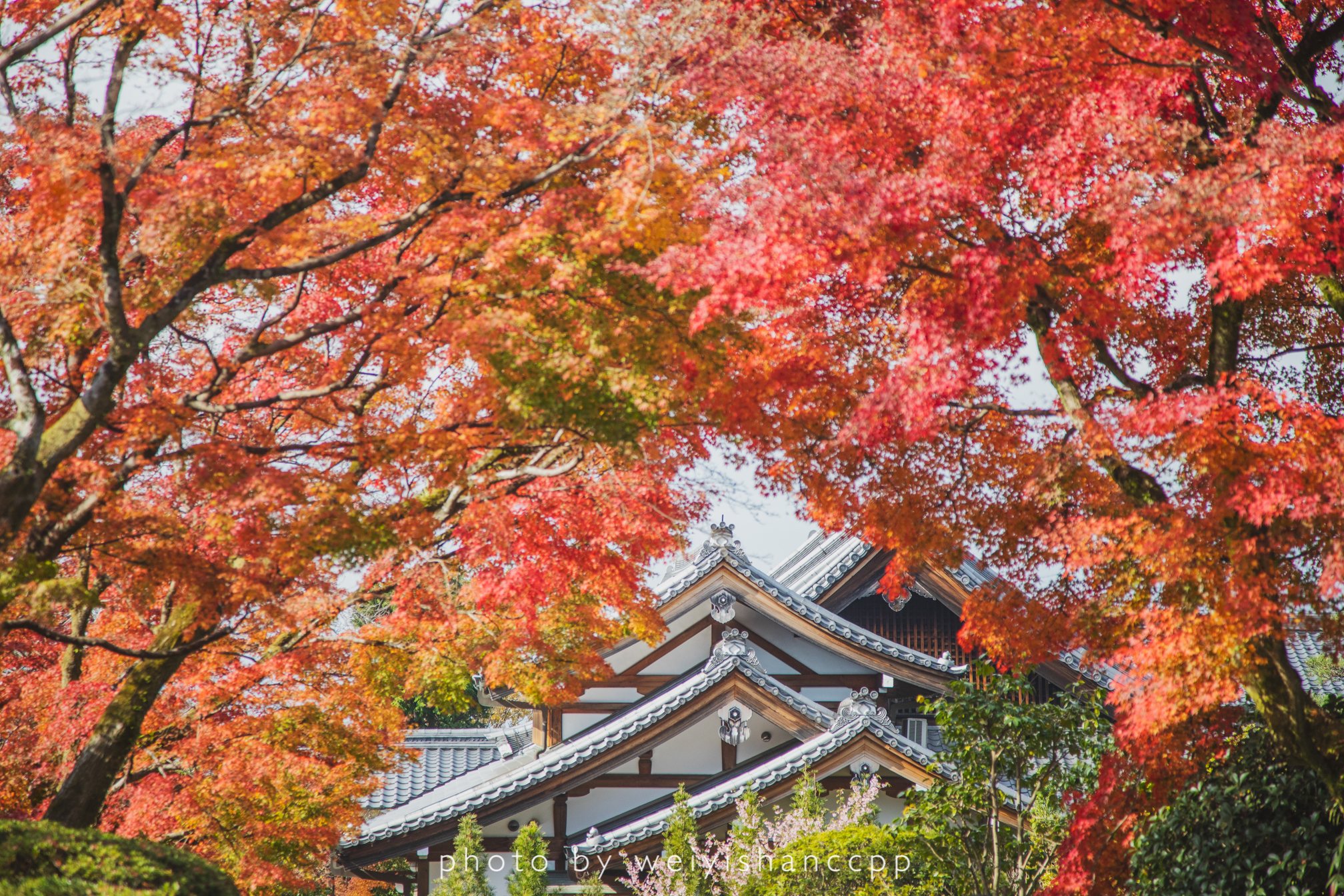 京都自助遊攻略