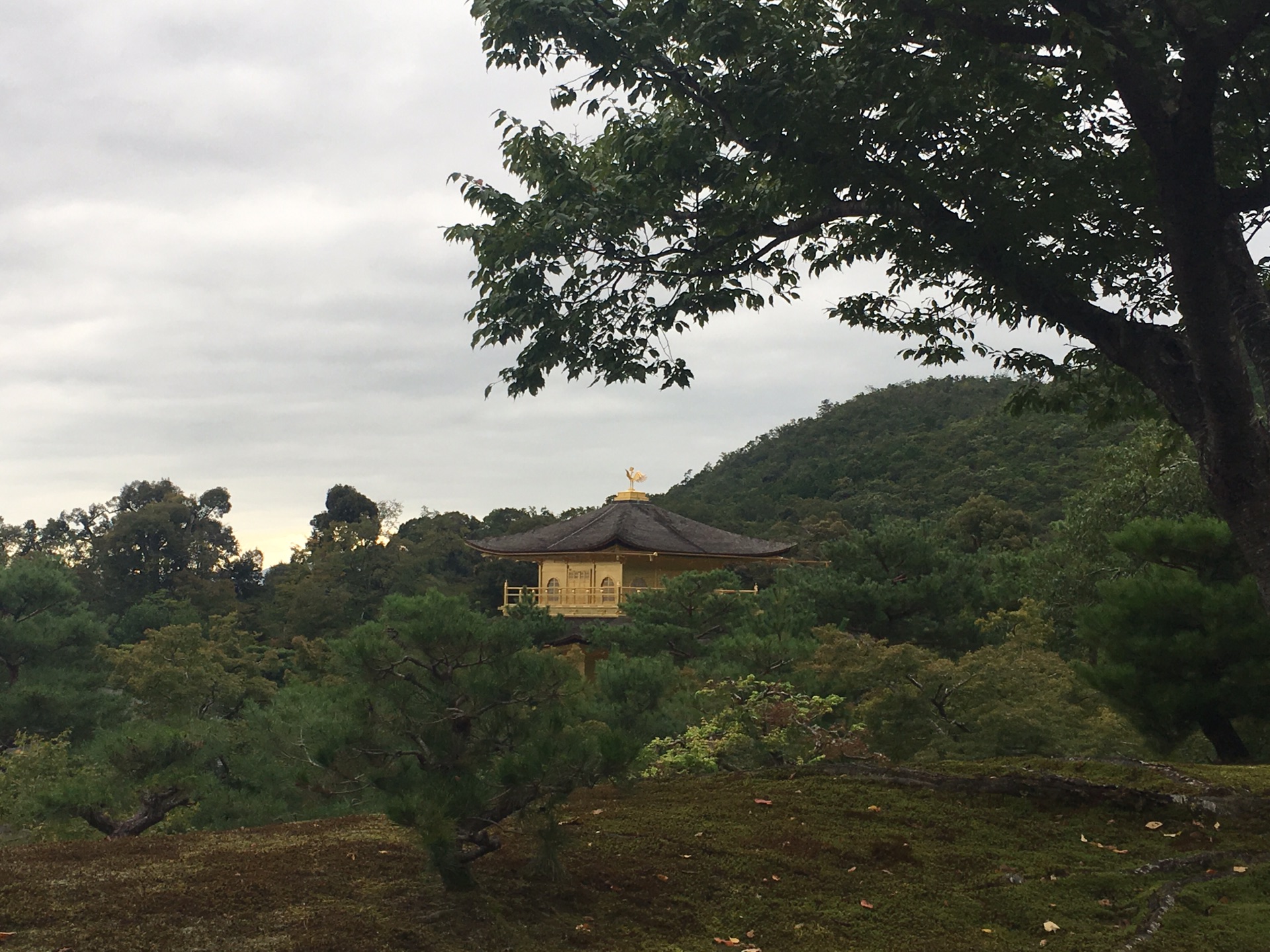 京都自助遊攻略