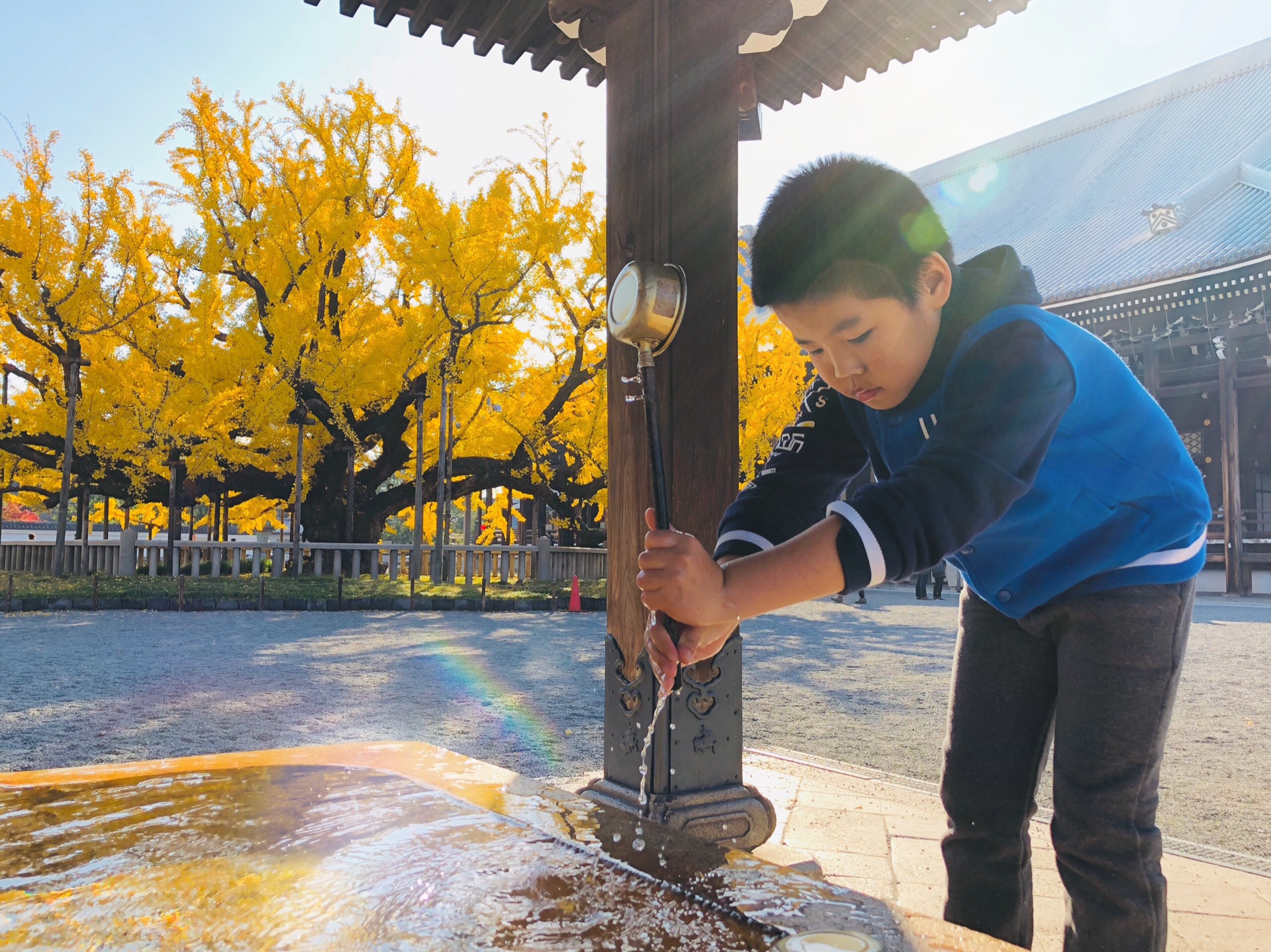 京都自助遊攻略