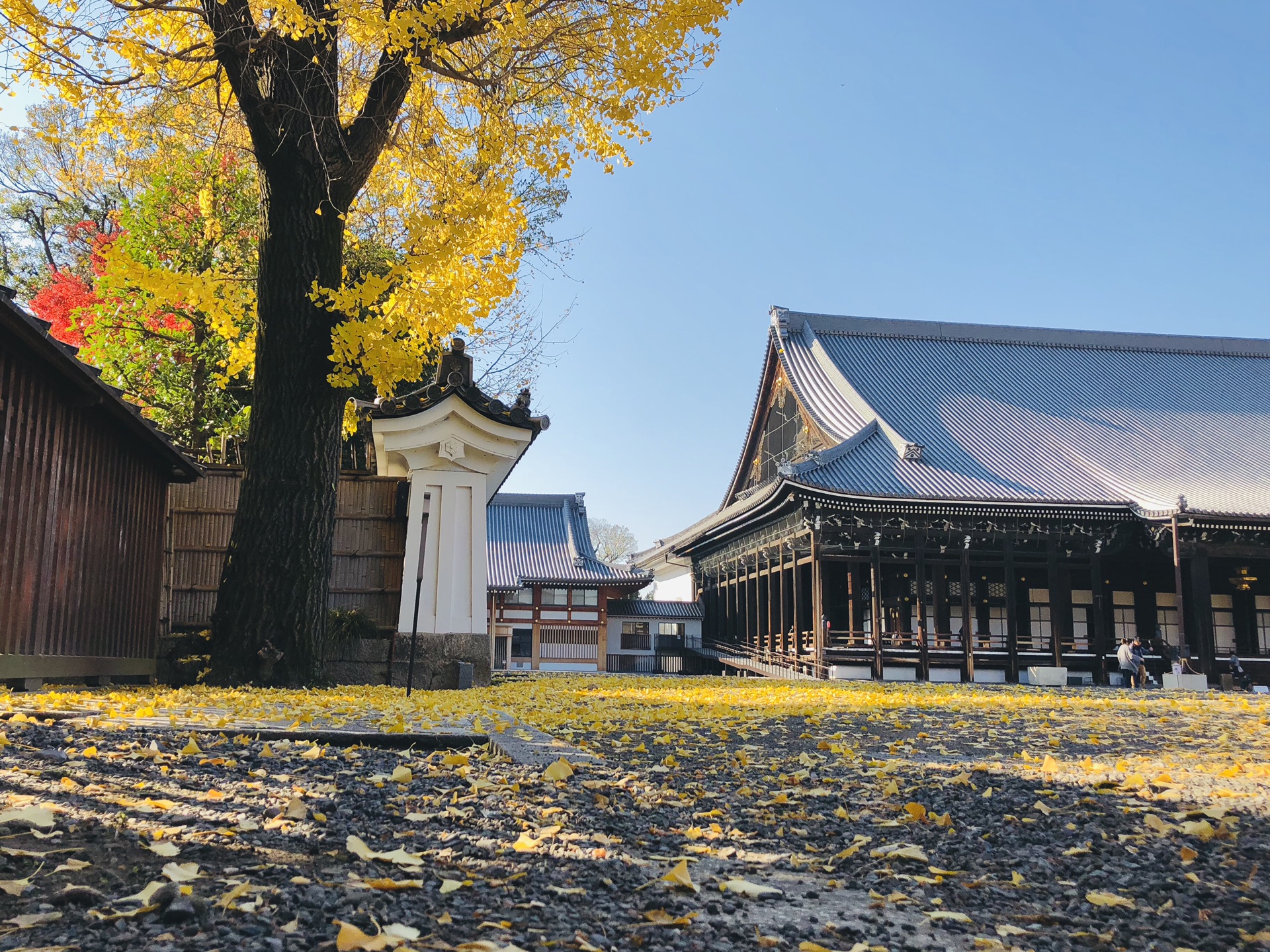 京都自助遊攻略