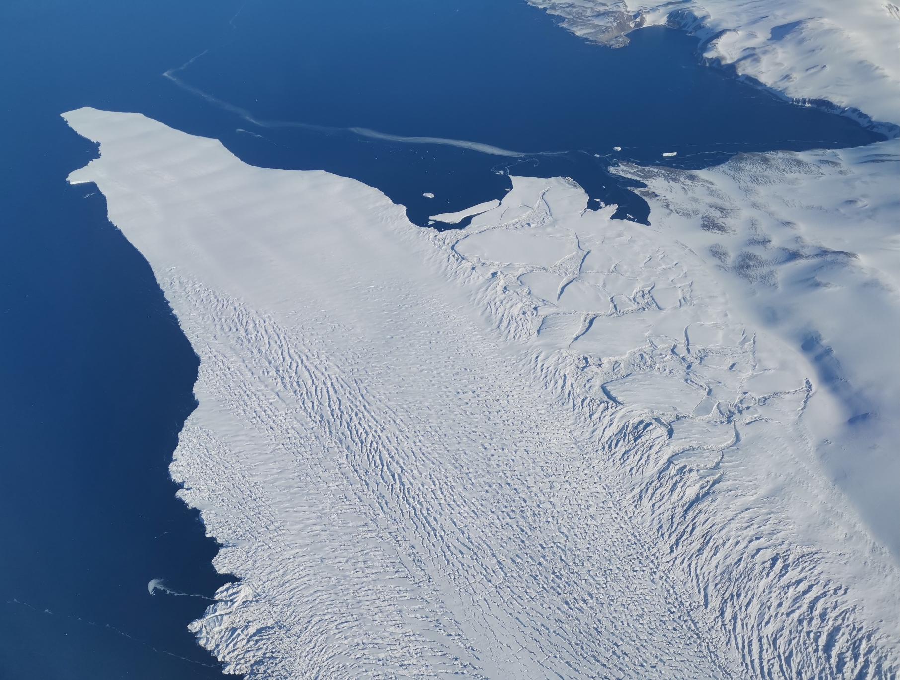 wKgEaVx3sYSAdoVaABjlKGb9MOA55.jpeg?imageView2%2F2%2Fw%2F680%2Fq%2F90%7CimageMogr2%2Fstrip%2Fquality%2F90