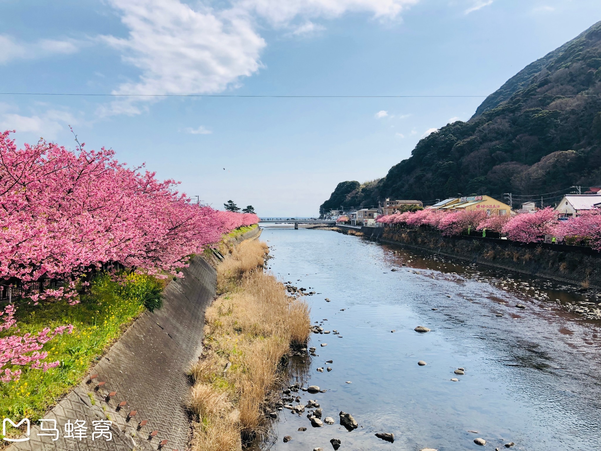河津町旅游图片