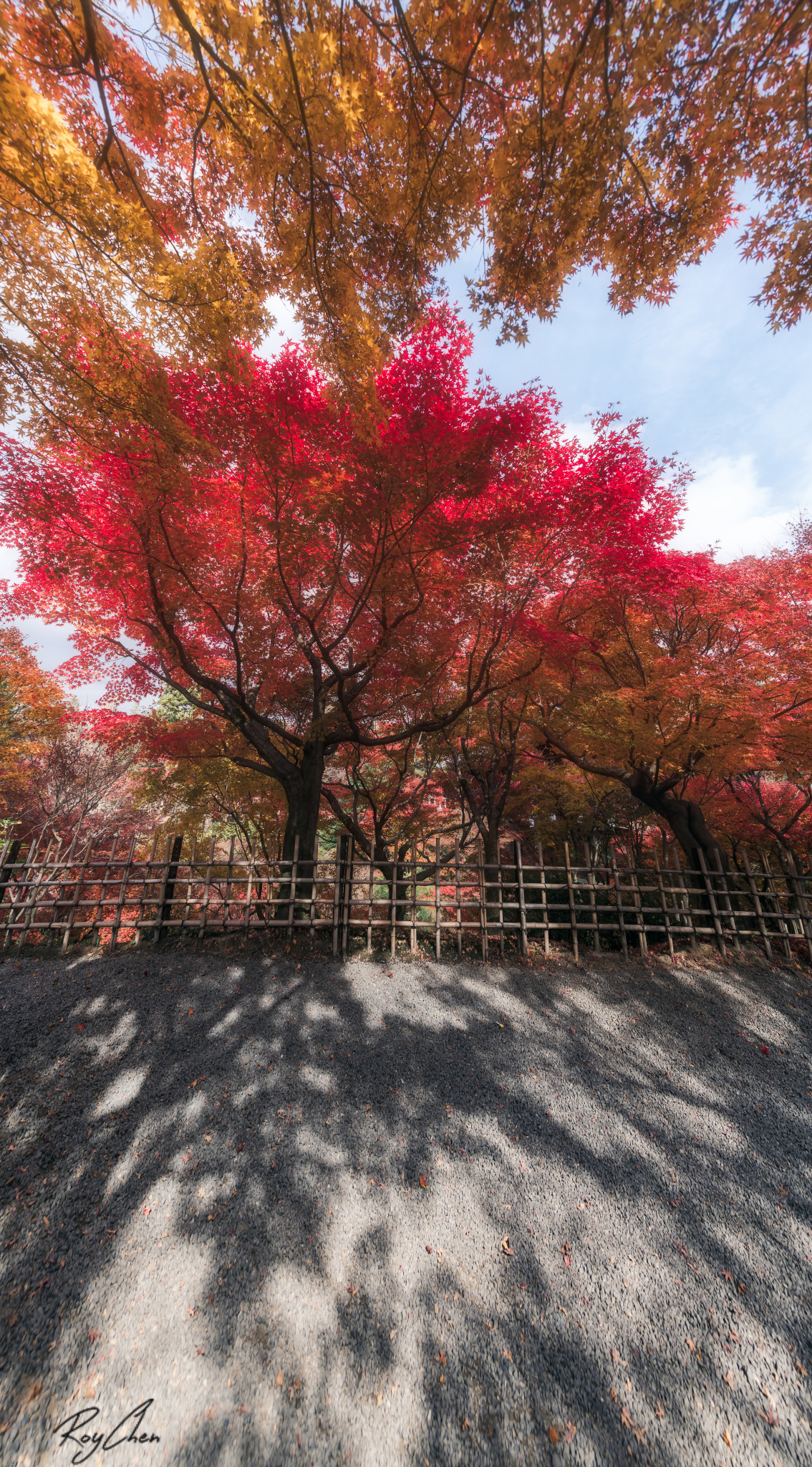 京都自助遊攻略