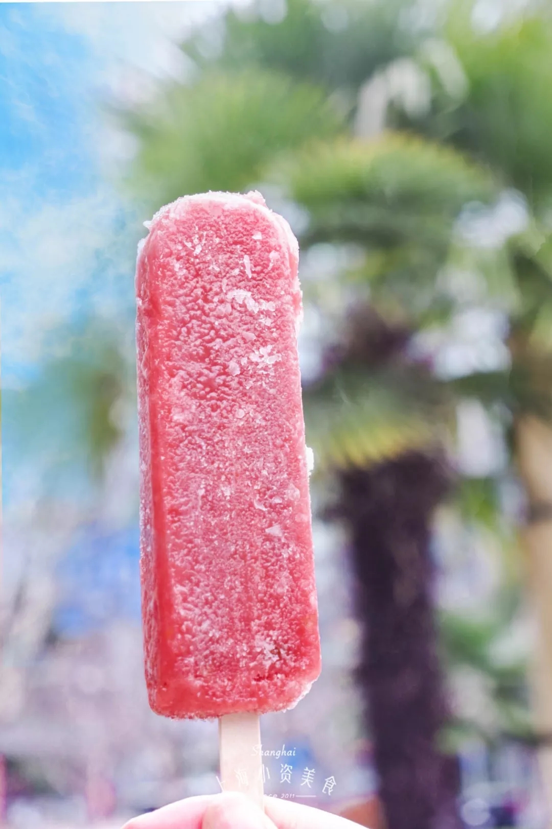 和路雪冰山楂冰棍  和路雪冰山楂冰棍 山楂本