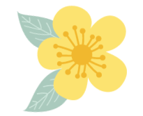 花都开好了 值得收藏的俄勒冈踏春寻花地点