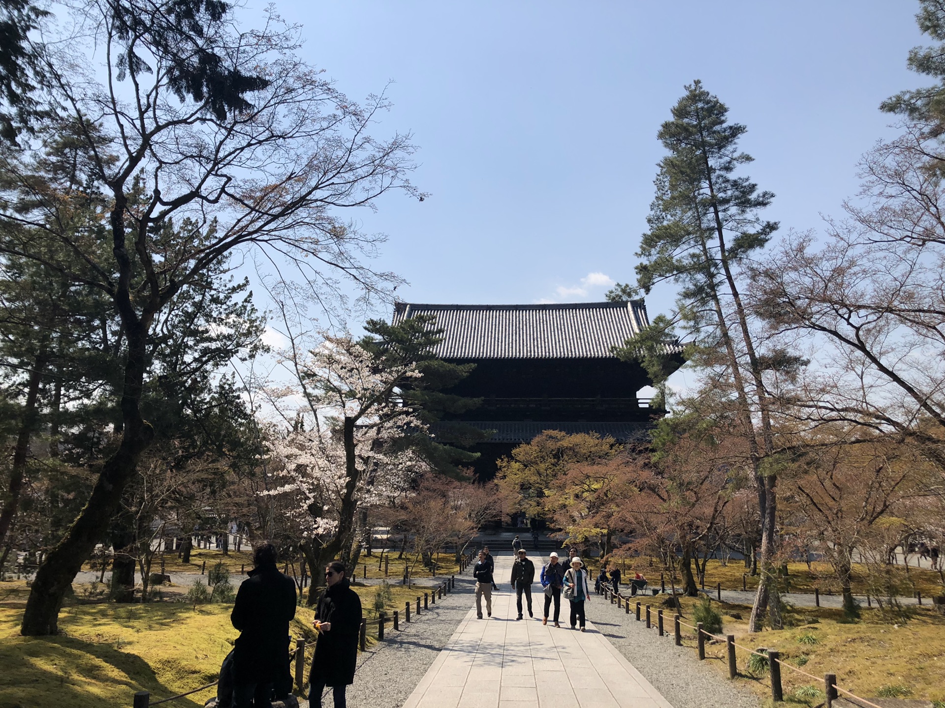 京都自助遊攻略