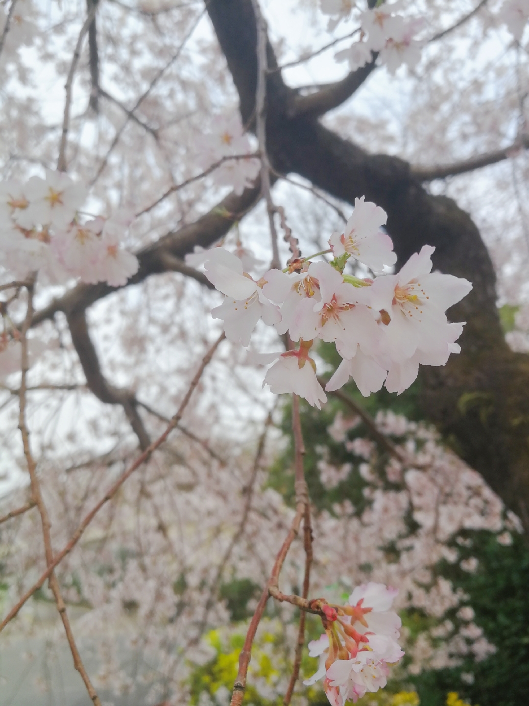 名古屋自助遊攻略