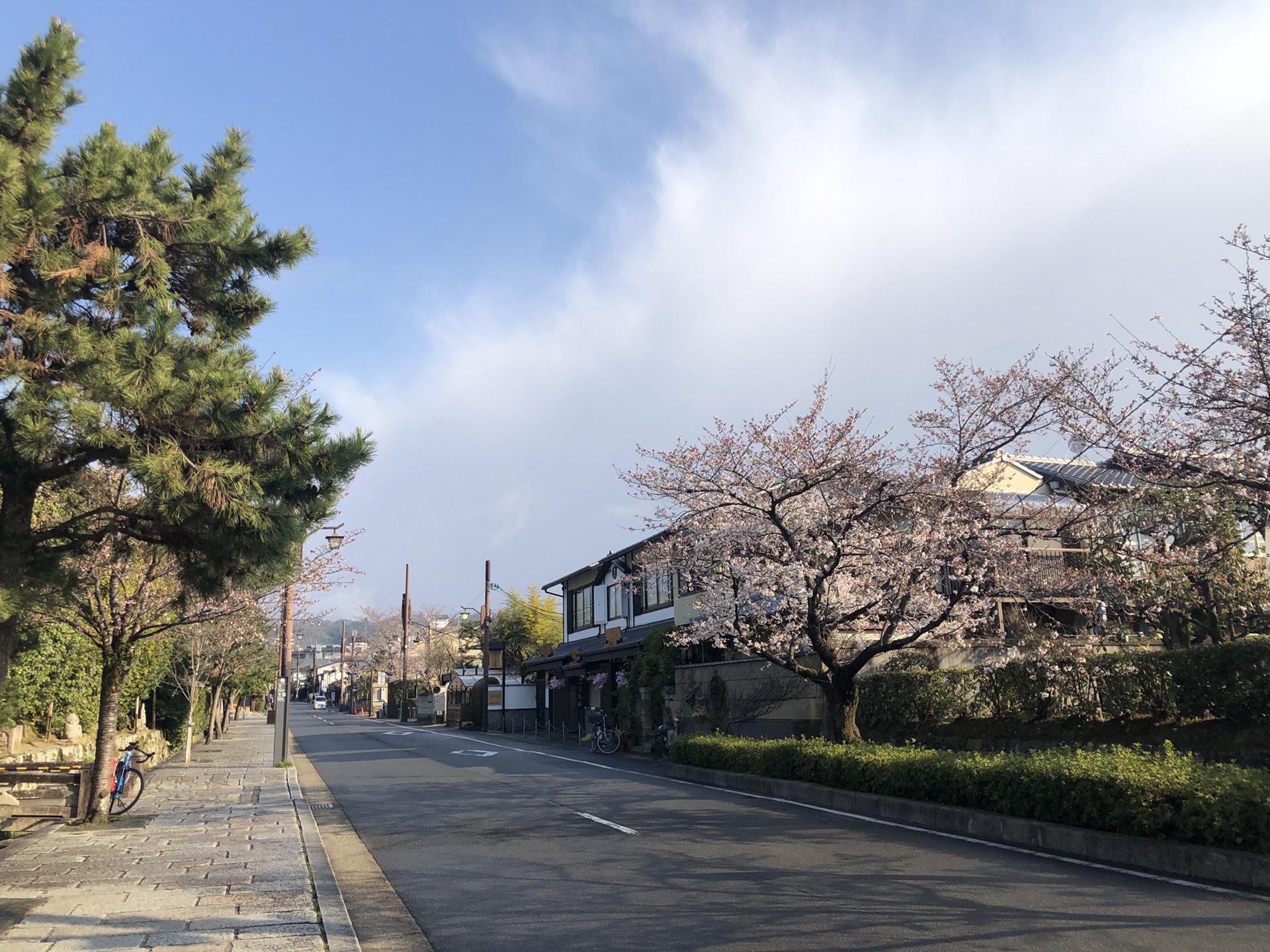 京都自助遊攻略