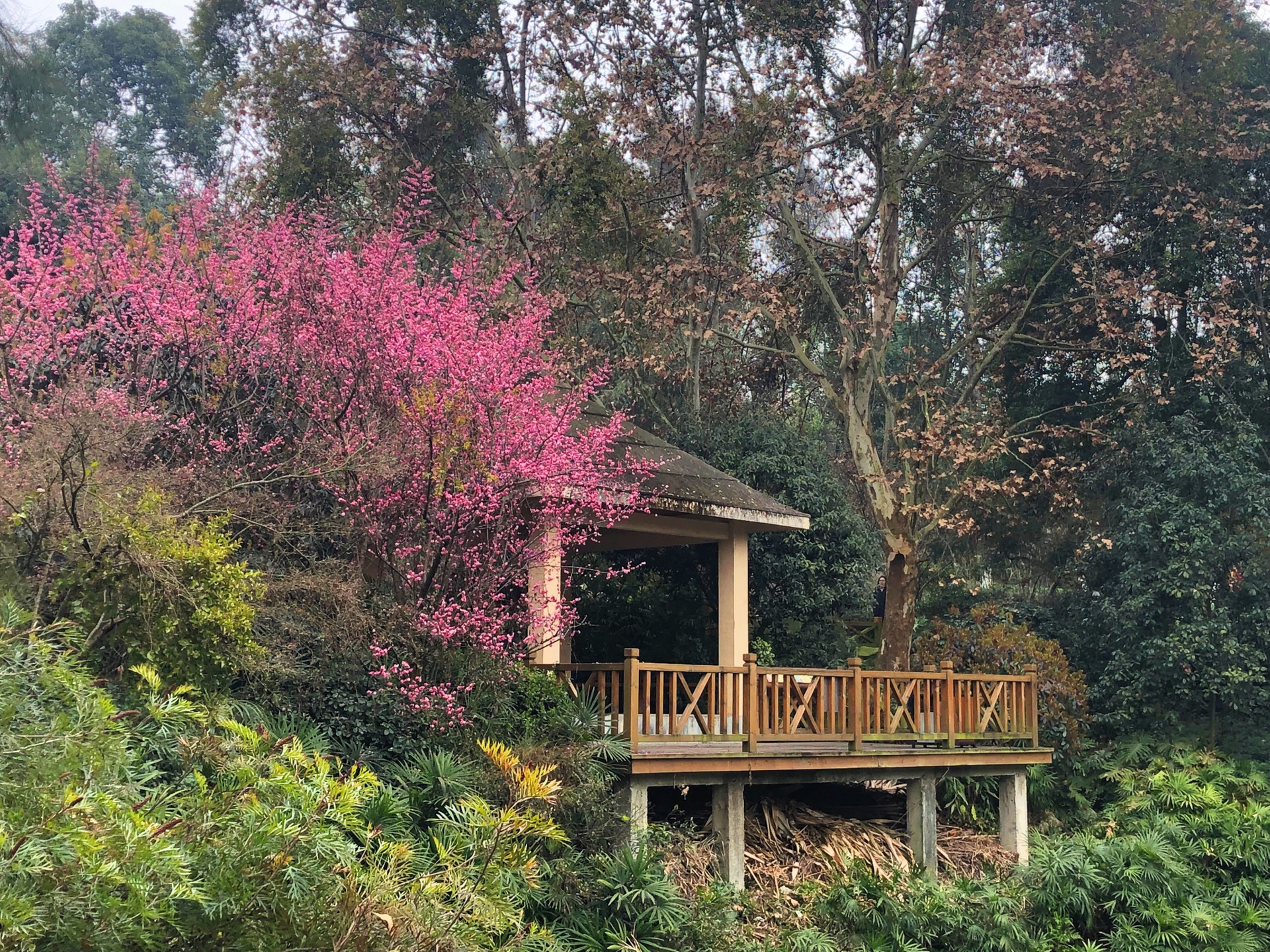 成都植物園