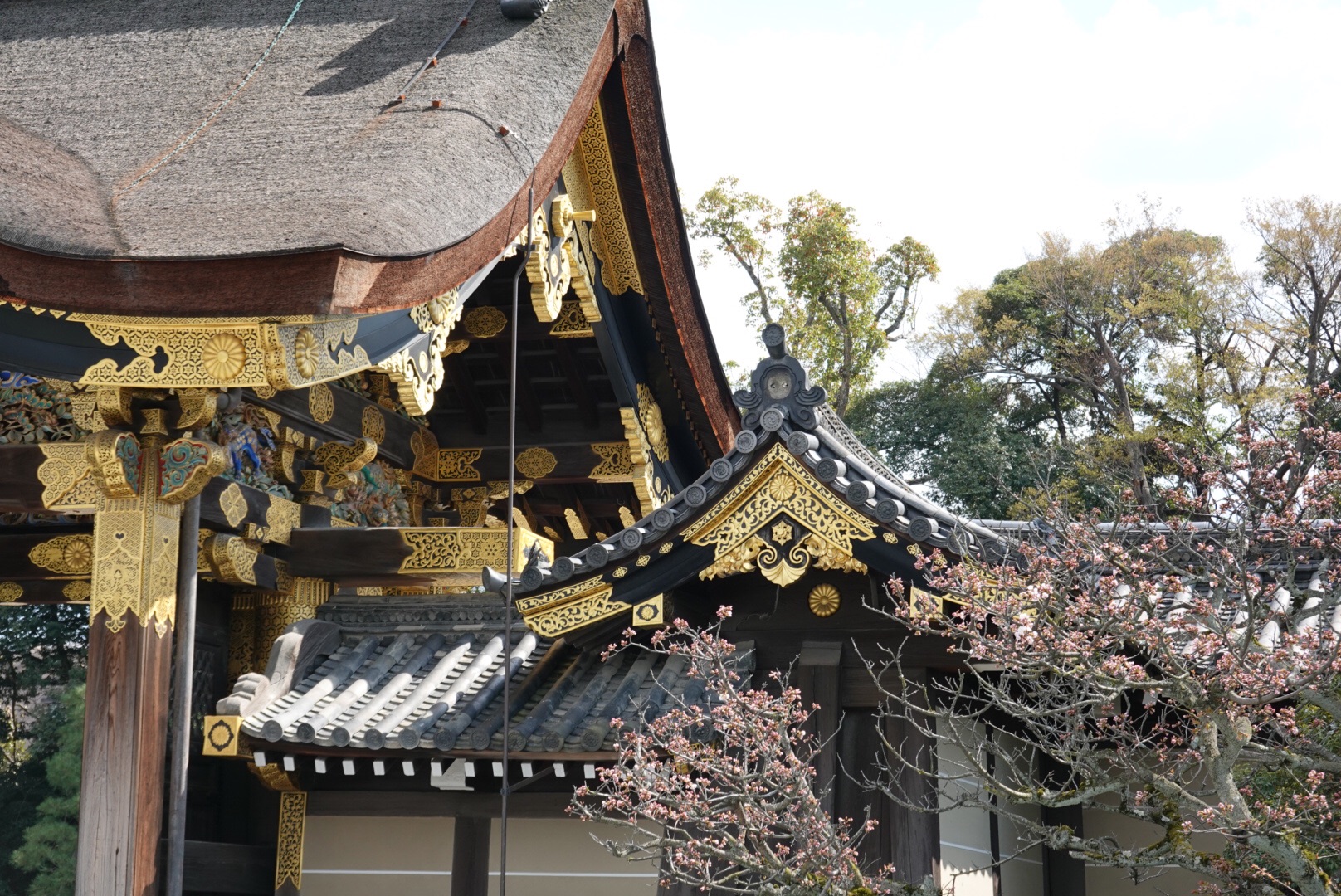 京都自助遊攻略