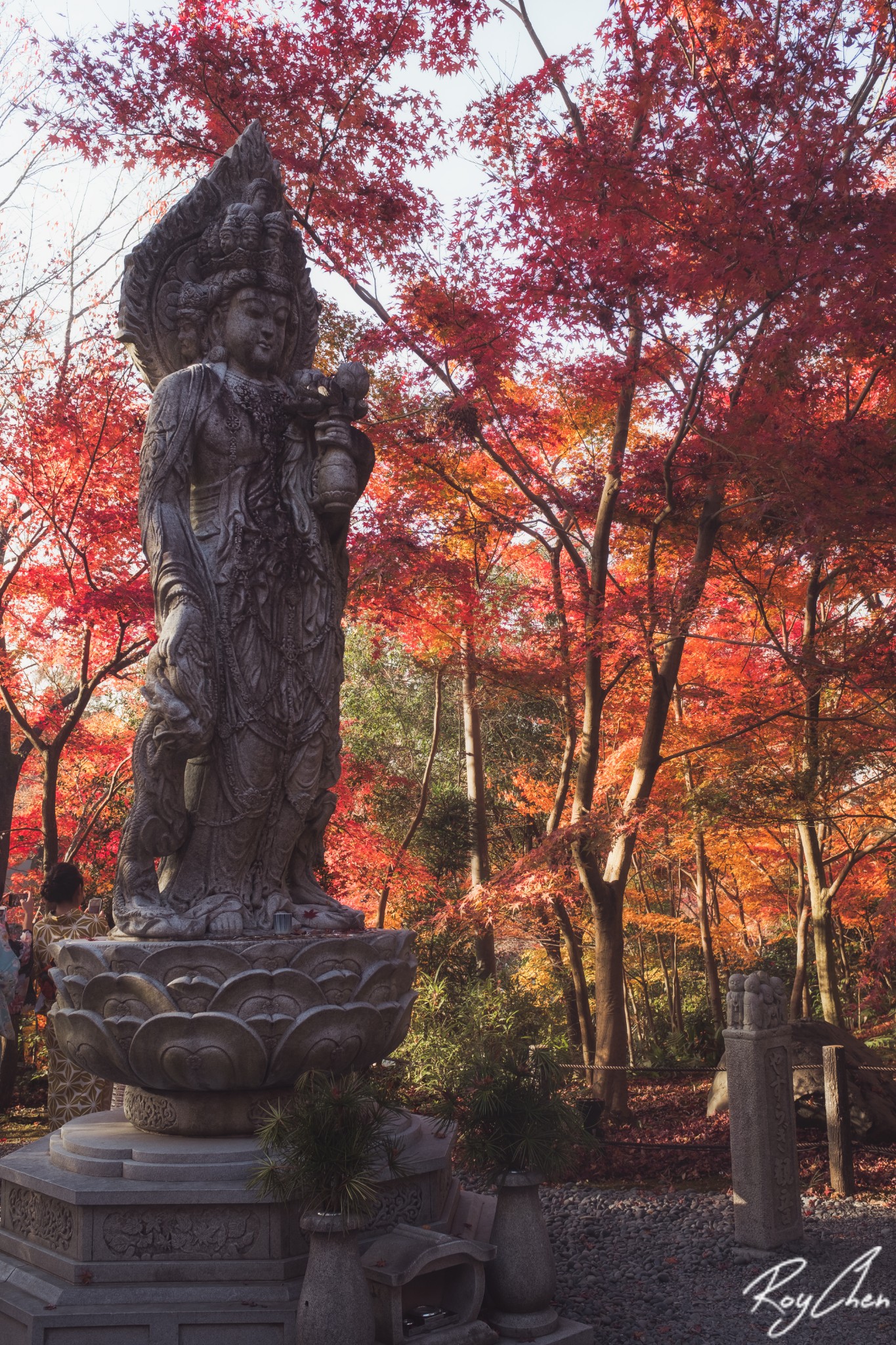 京都自助遊攻略