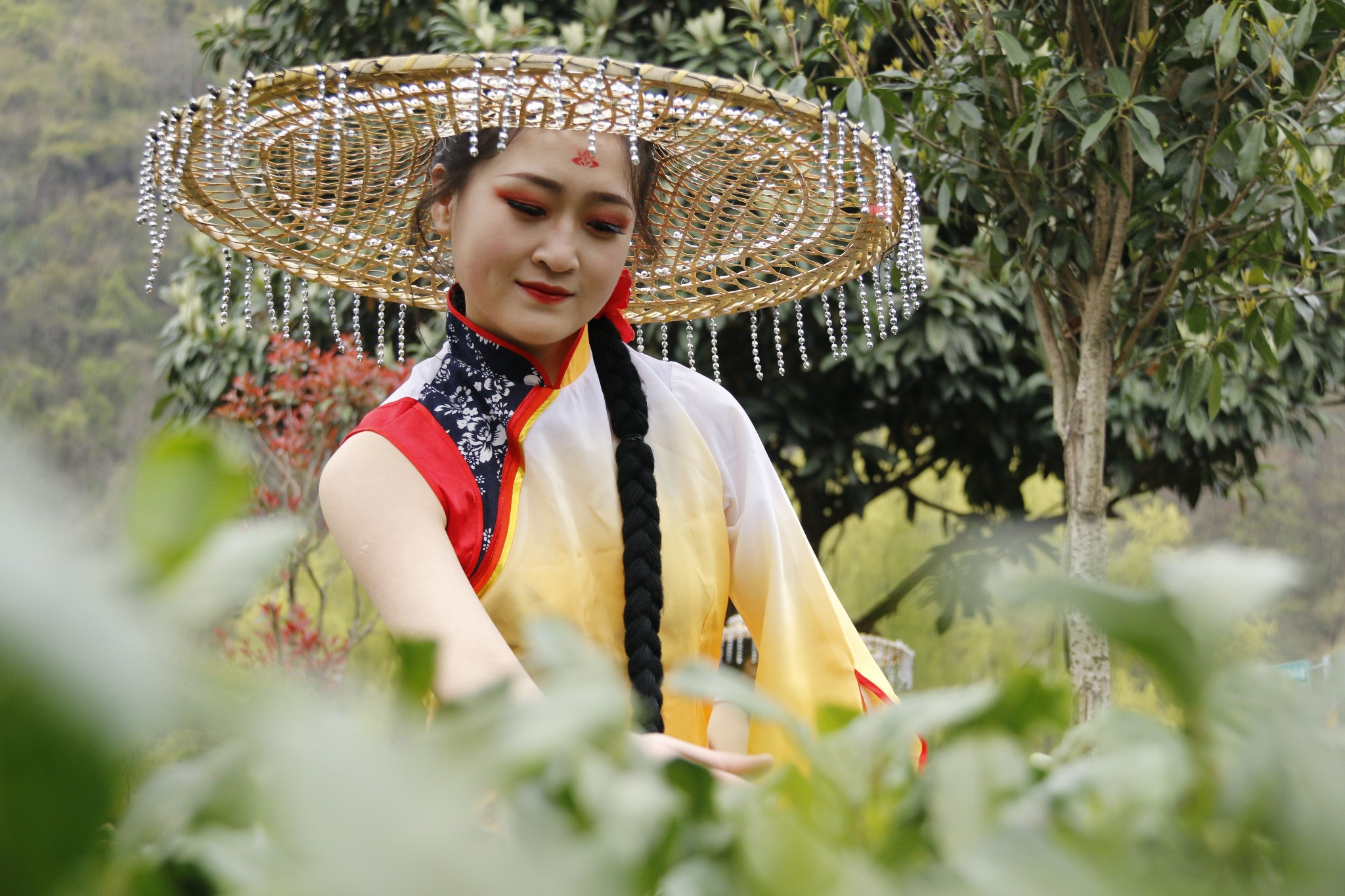 青山绿水出好茶 "世界绞谷"安康平利