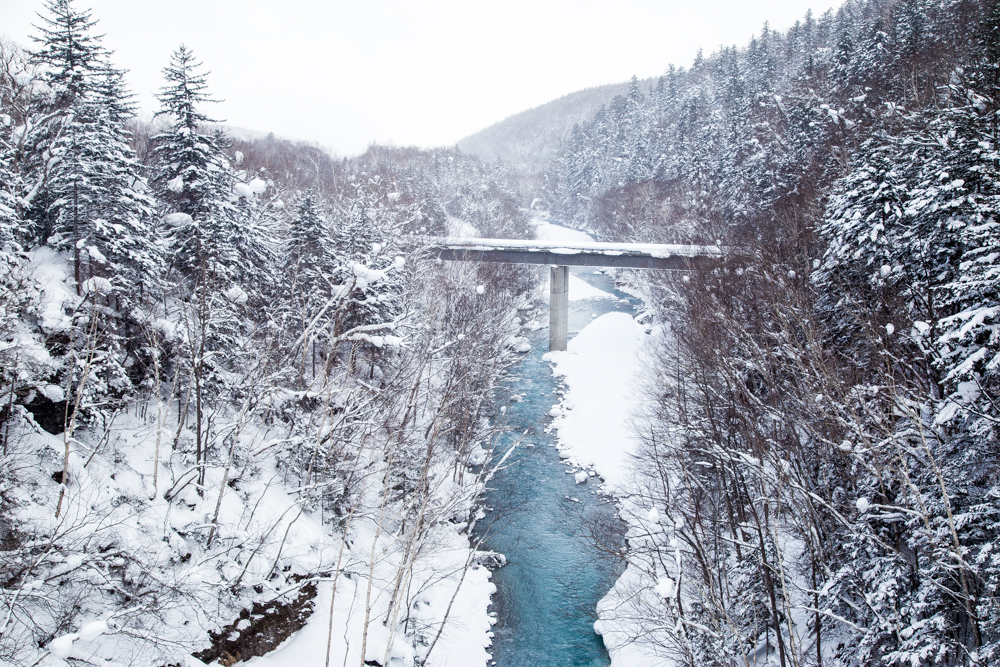 北海道自助遊攻略