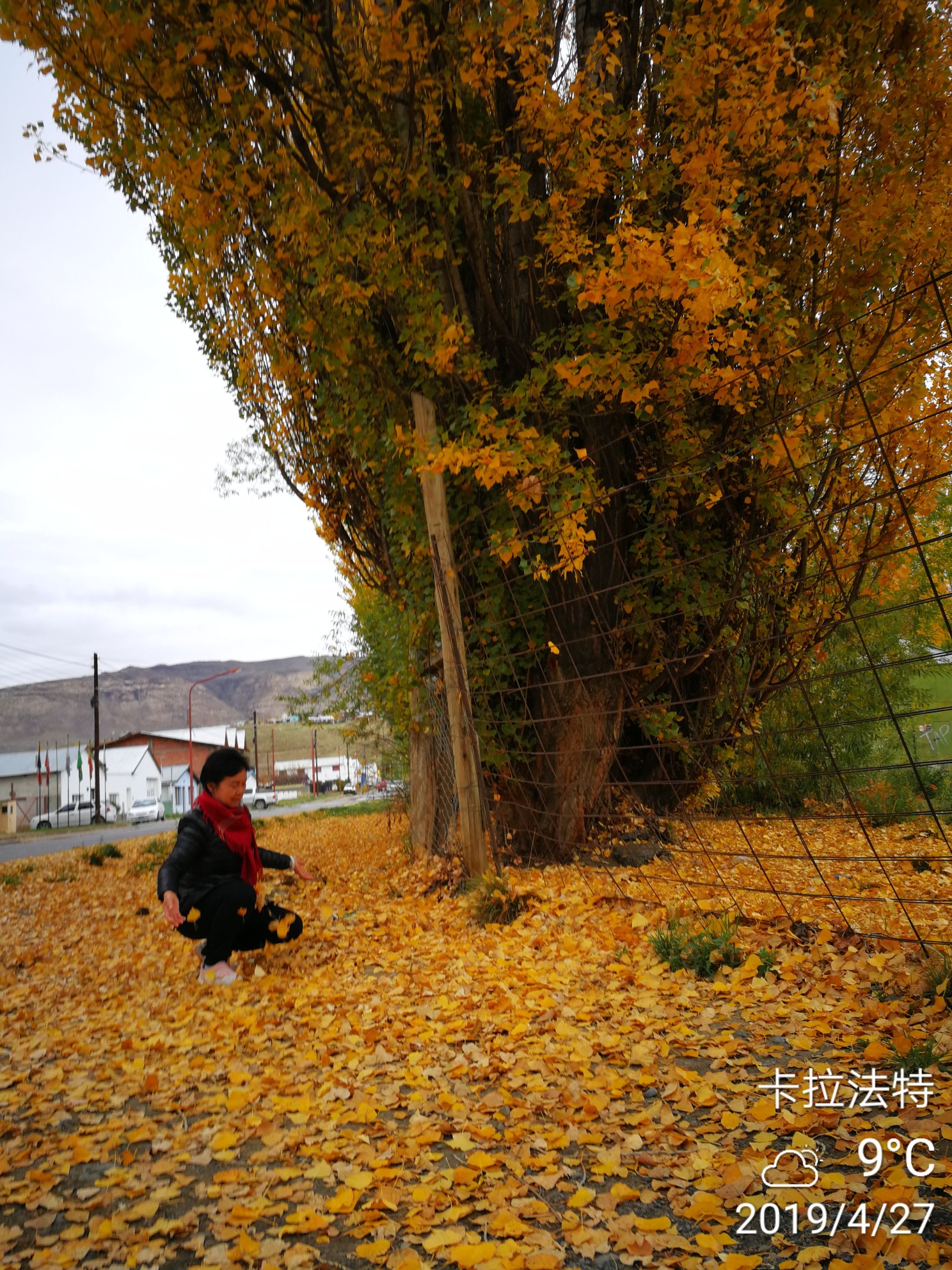 阿根廷自助遊攻略