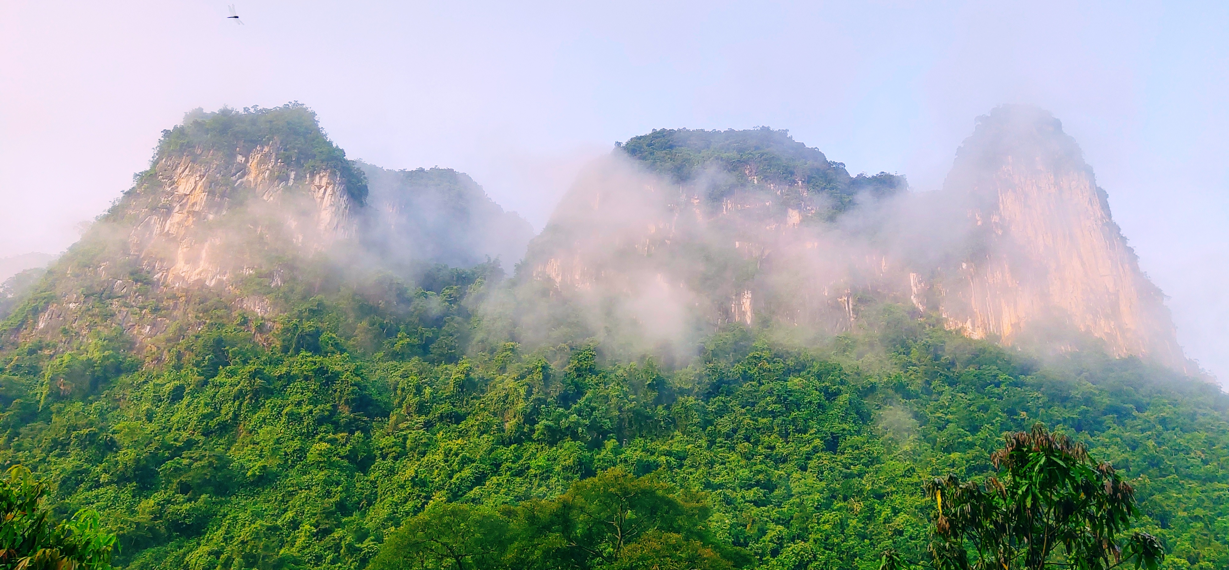 【龙州景点图片】弄岗森林自然景区