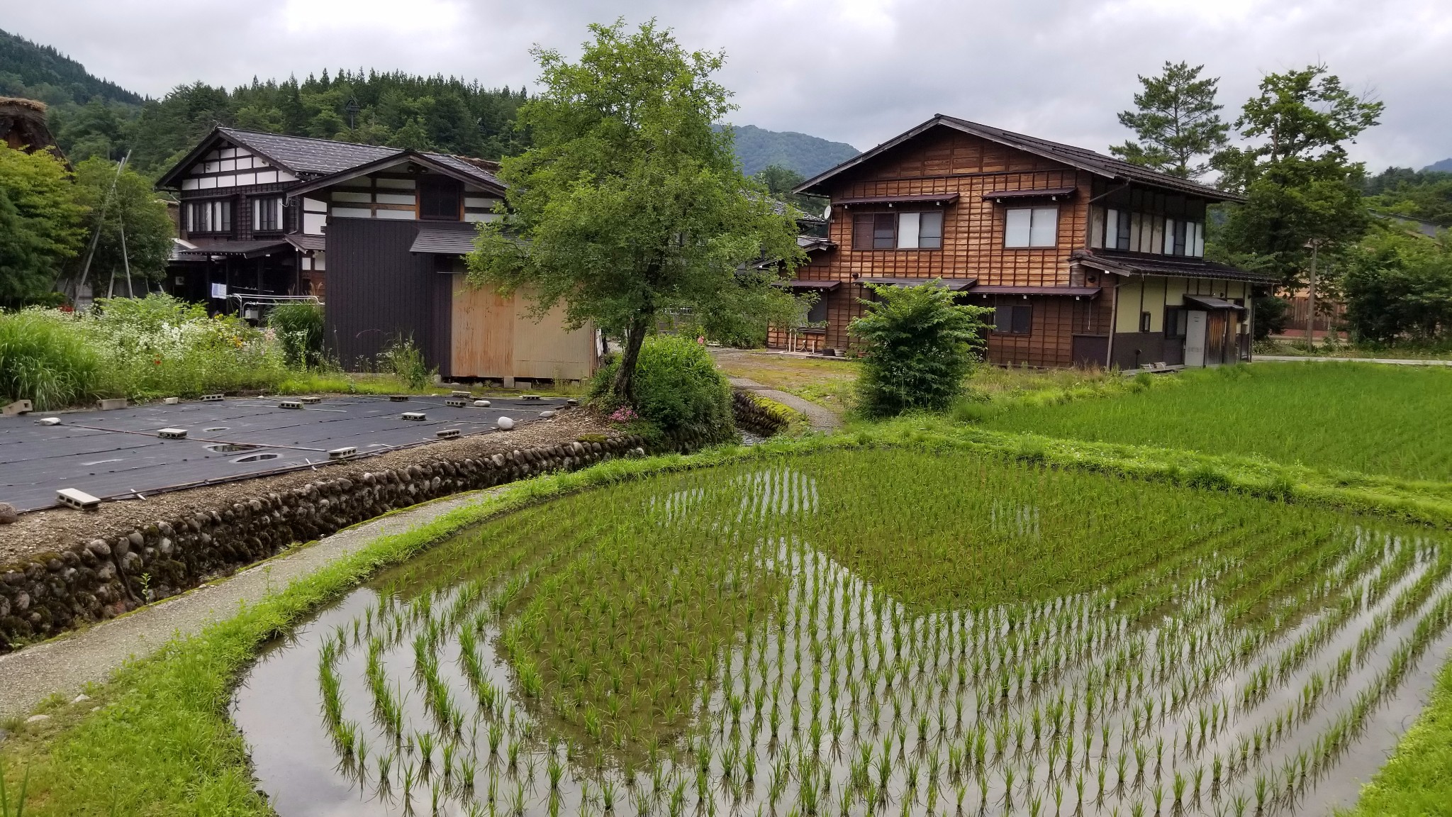 名古屋自助遊攻略