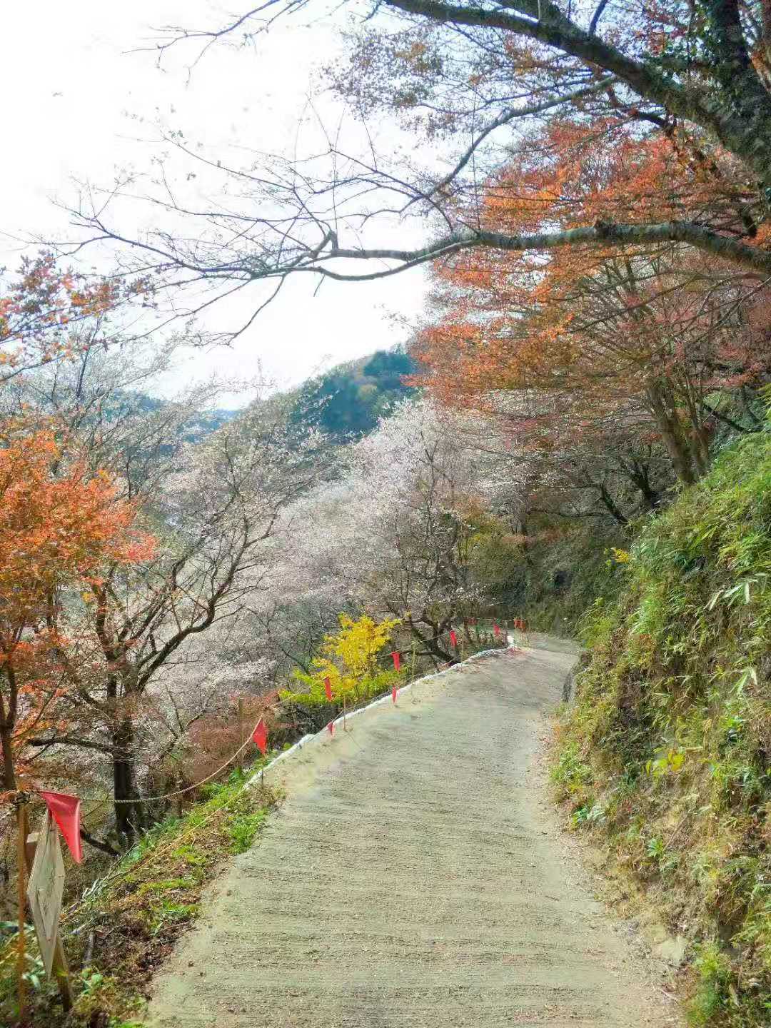 名古屋自助遊攻略