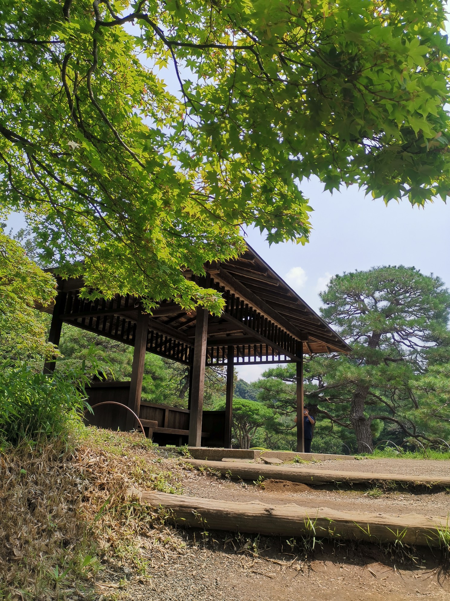 東京自助遊攻略