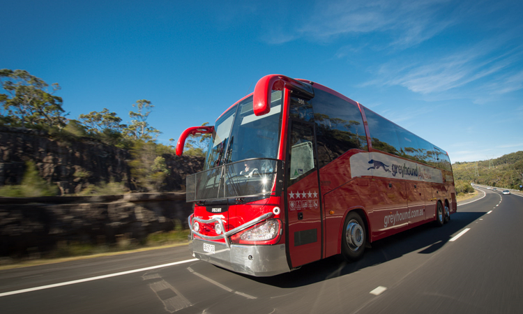 澳大利亚灰狗巴士 布里斯班出发 至赫维湾/艾尔利海滩/努萨/凯恩斯