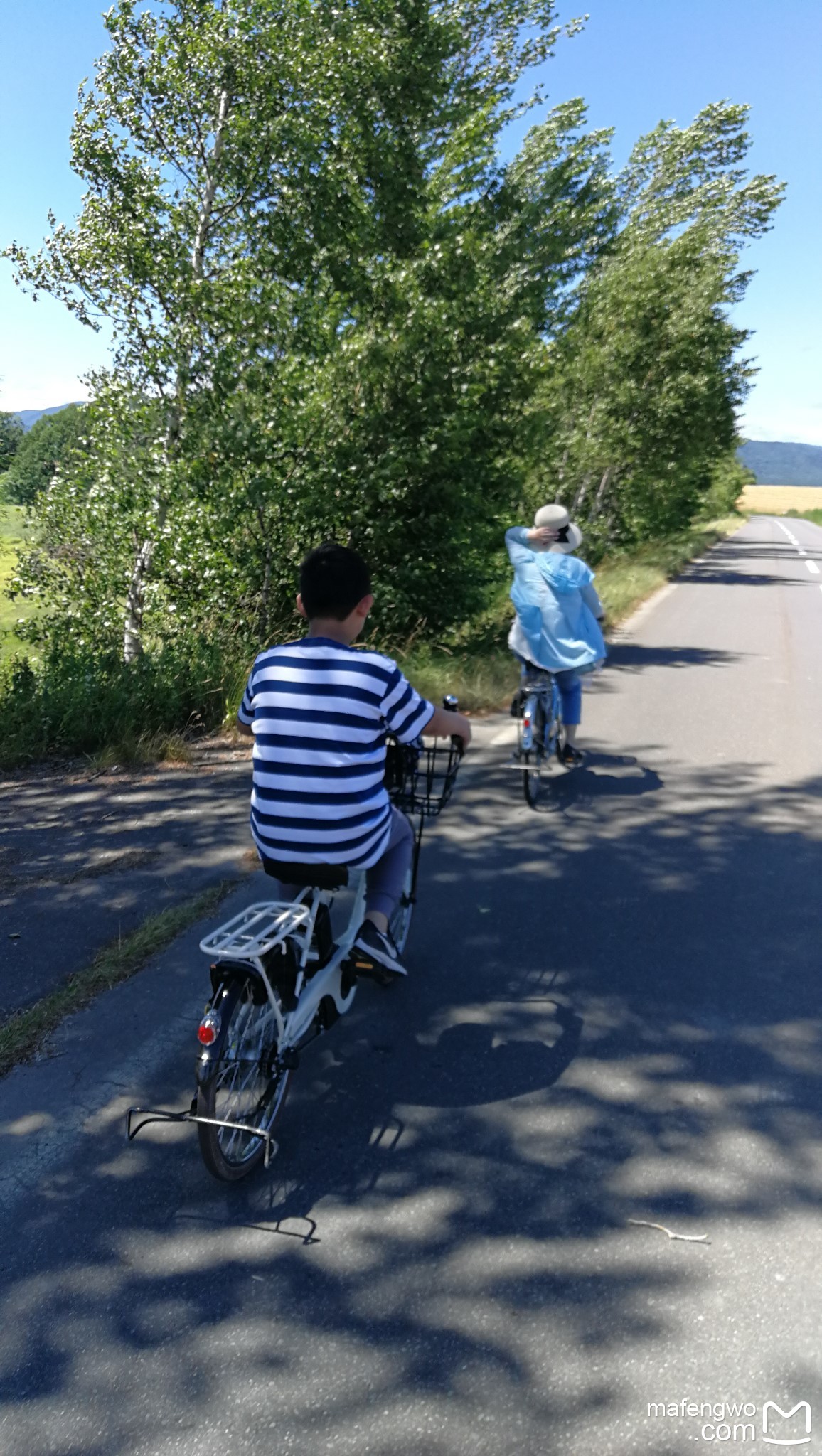 北海道自助遊攻略