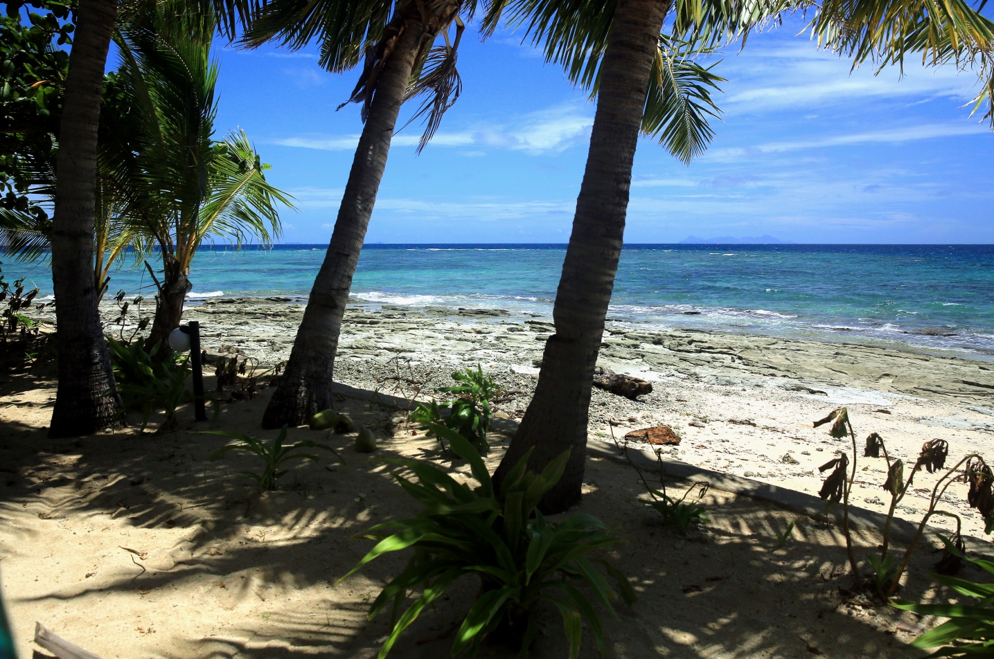 比奇科默岛(三)