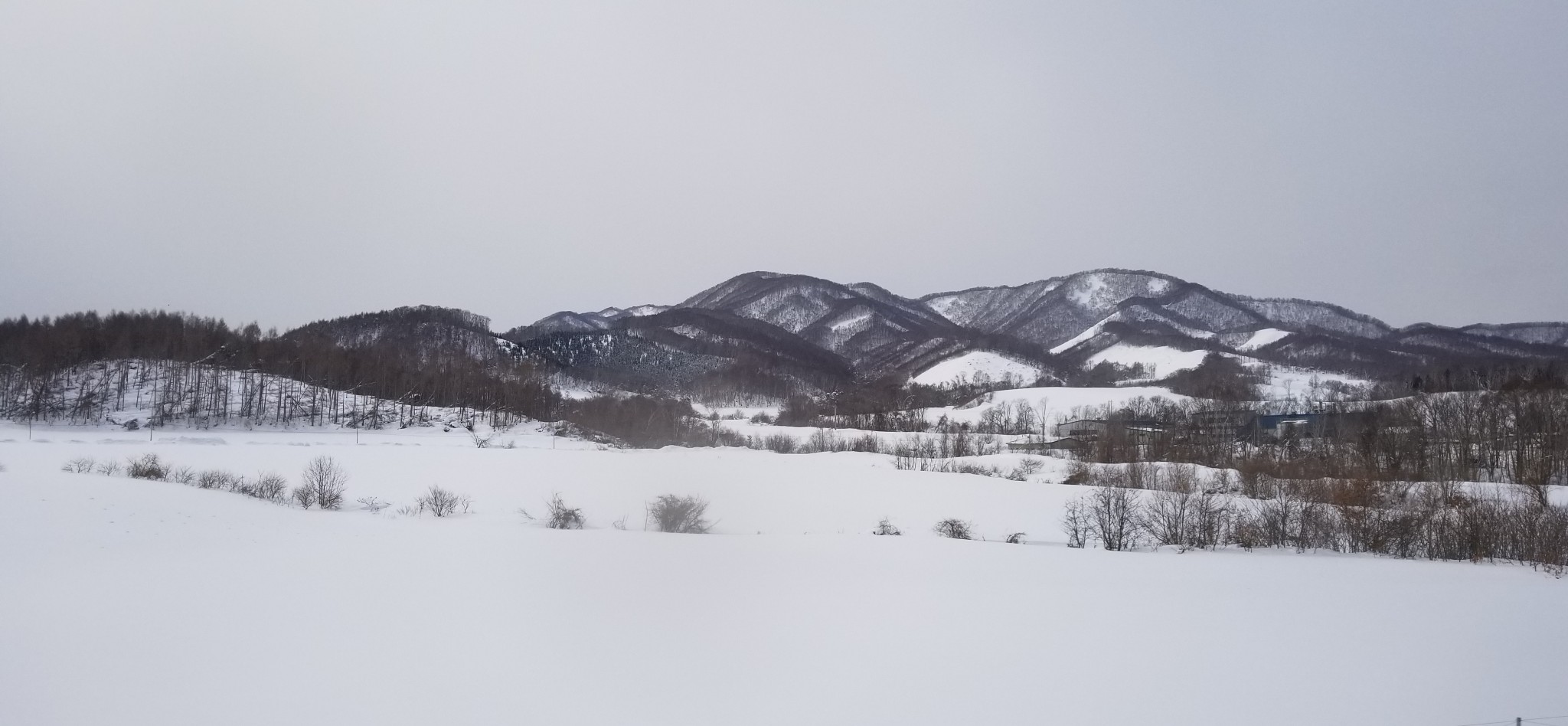 北海道自助遊攻略