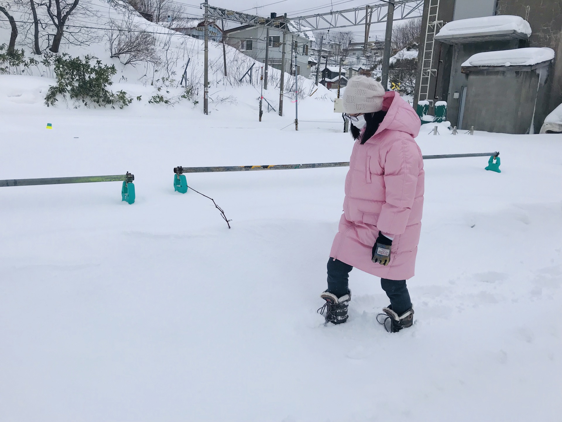 北海道自助遊攻略