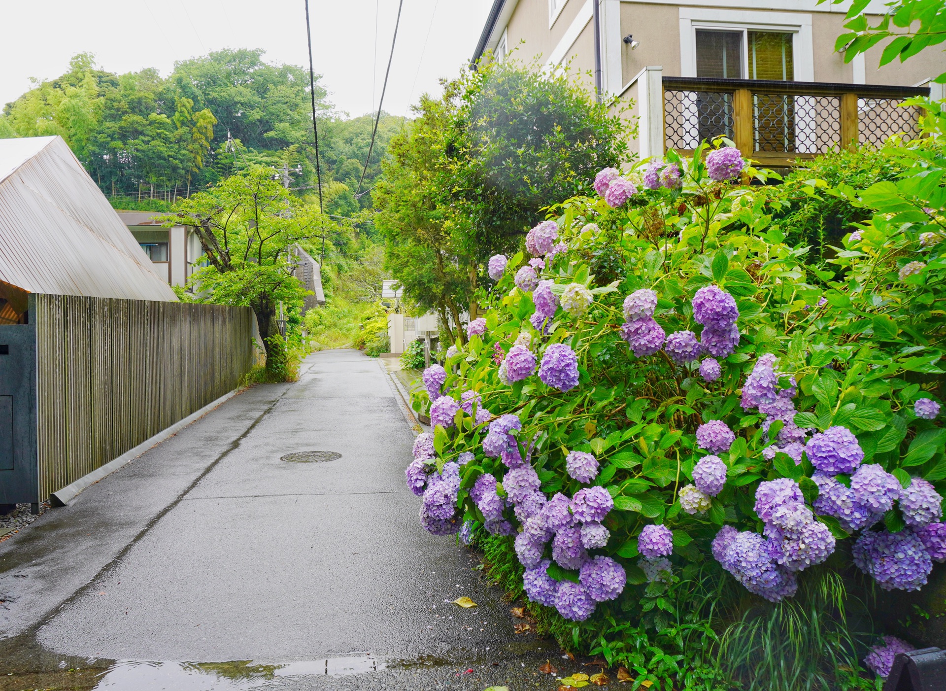 東京自助遊攻略